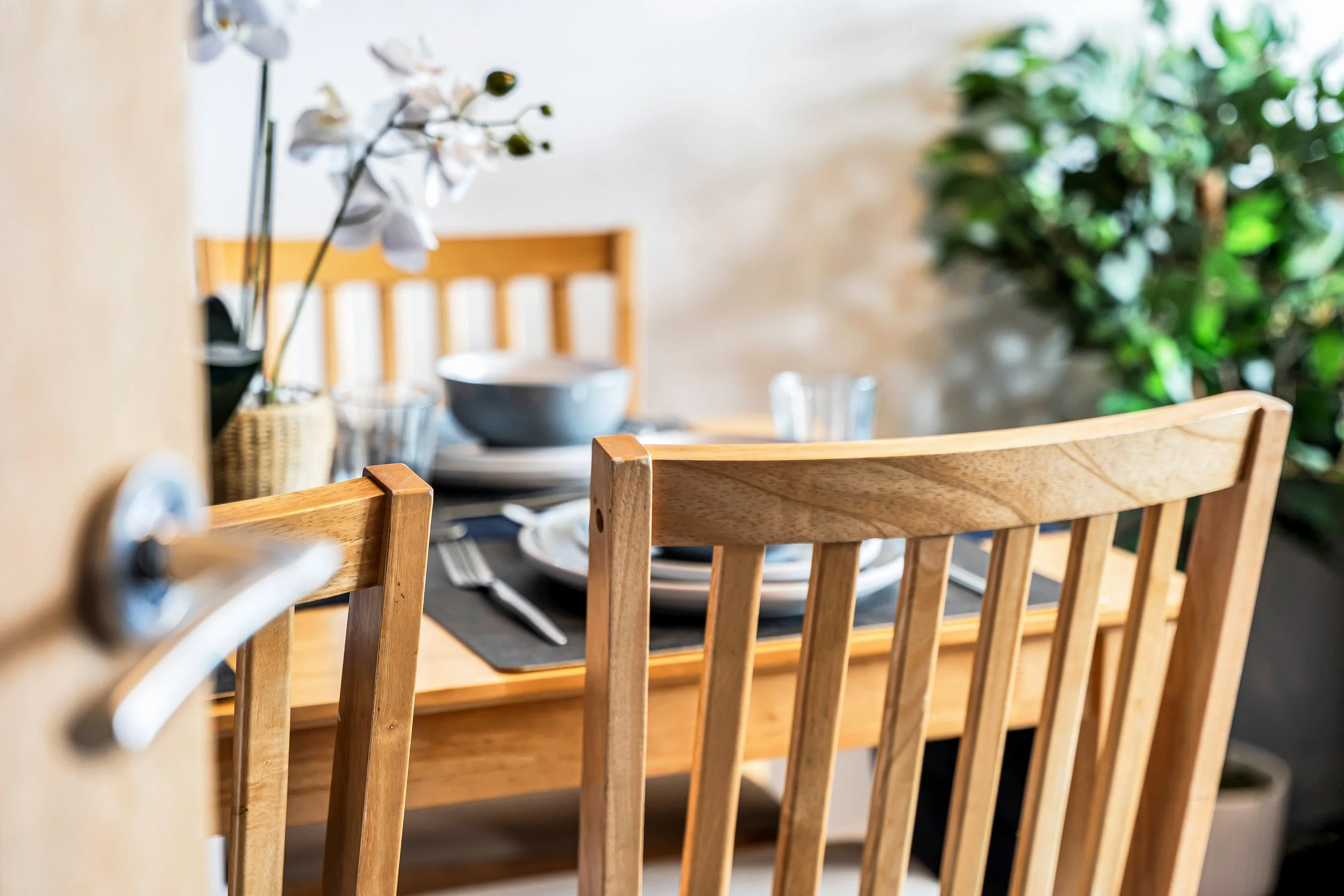 A dining table set with black placemats, white plates, silverware, and glasses, with wooden chairs around it and a potted plant in the background.