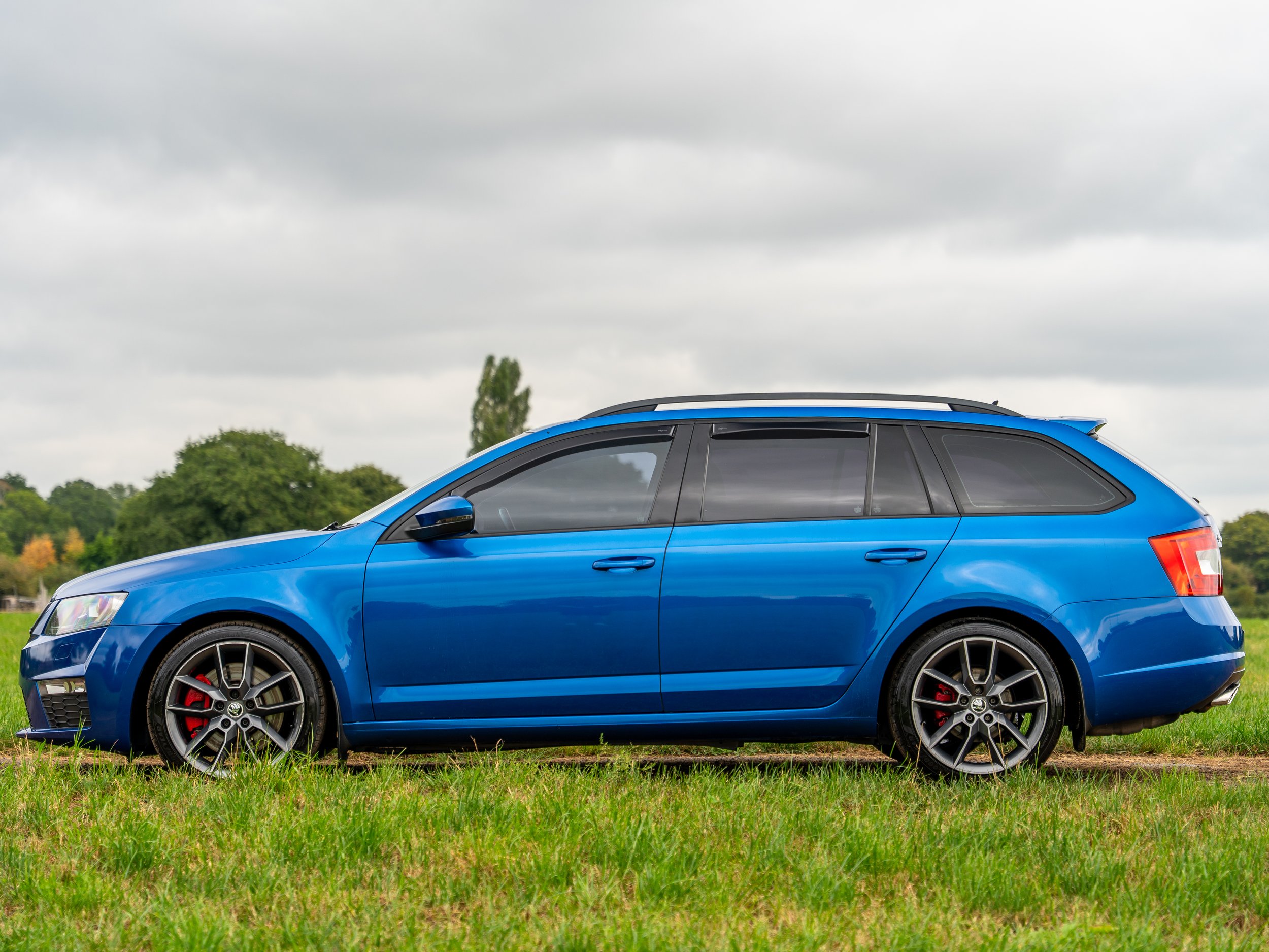 Blue station wagon parked on grass with trees and cloudy sky in background.