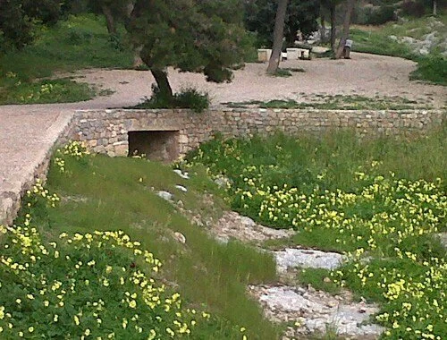 A small creek flows under a stone bridge in a park with green grass, yellow flowers, trees, and walking paths.