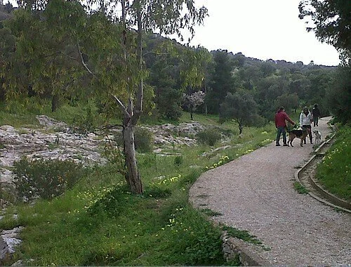 Two people walking with a dog on a winding park trail surrounded by greenery and trees.