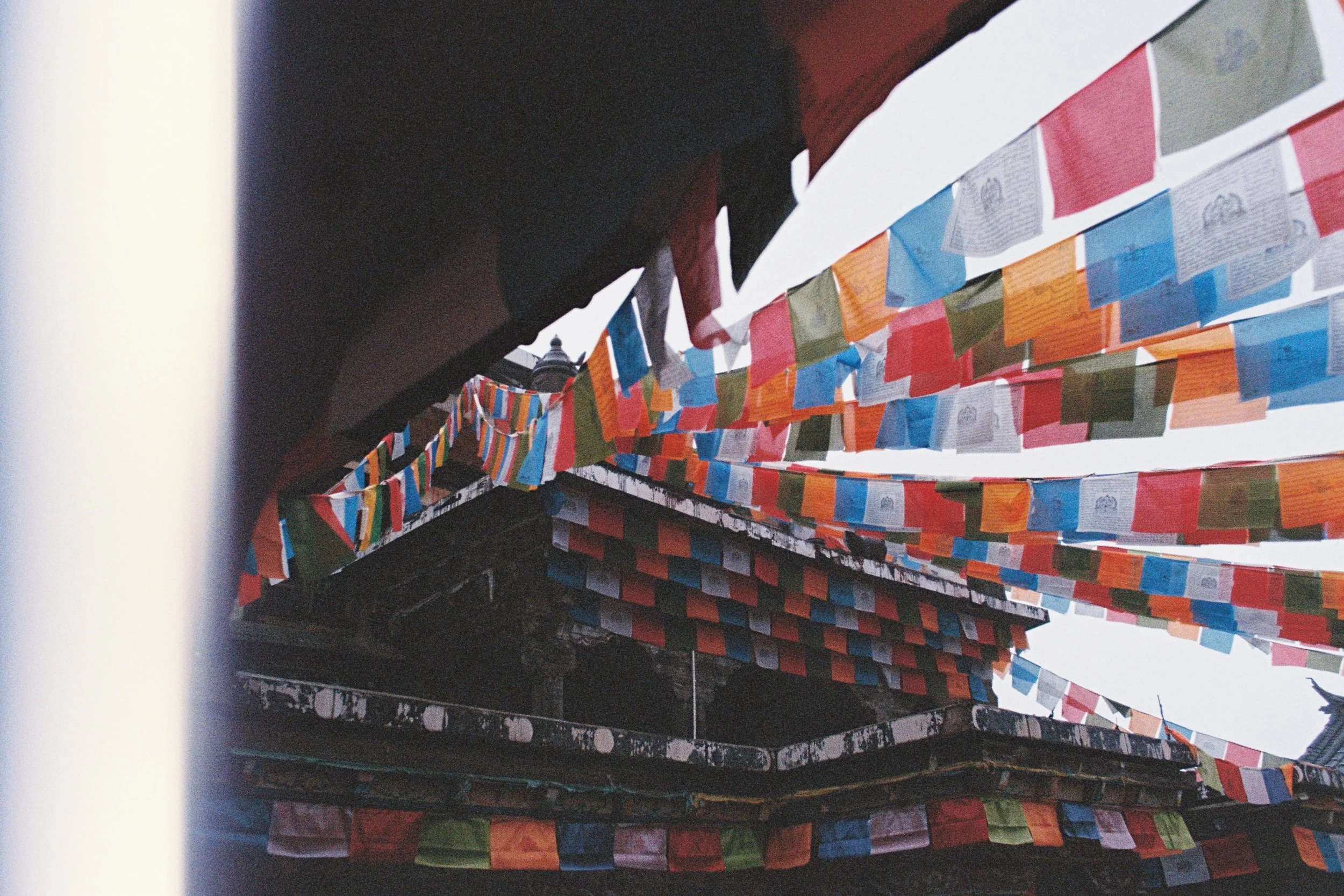 000044_fullres-3.jpg