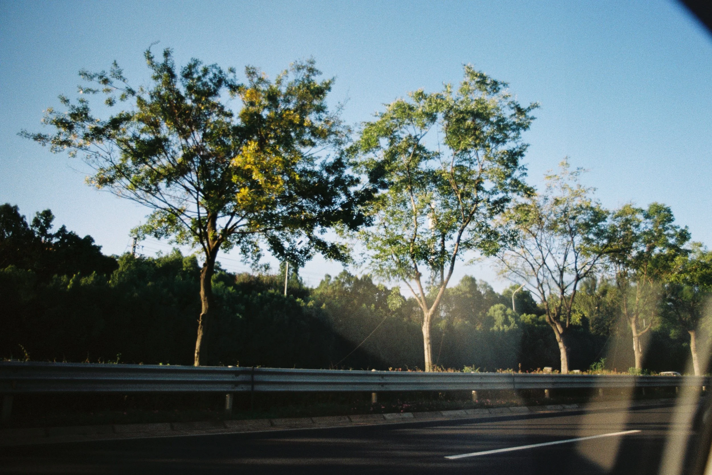 000067_fullres-2.jpg