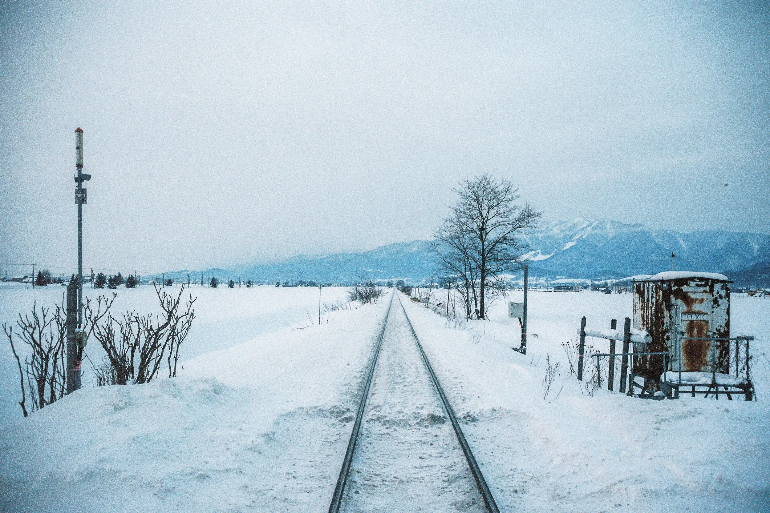 R1-03777-0006_fullres.jpg