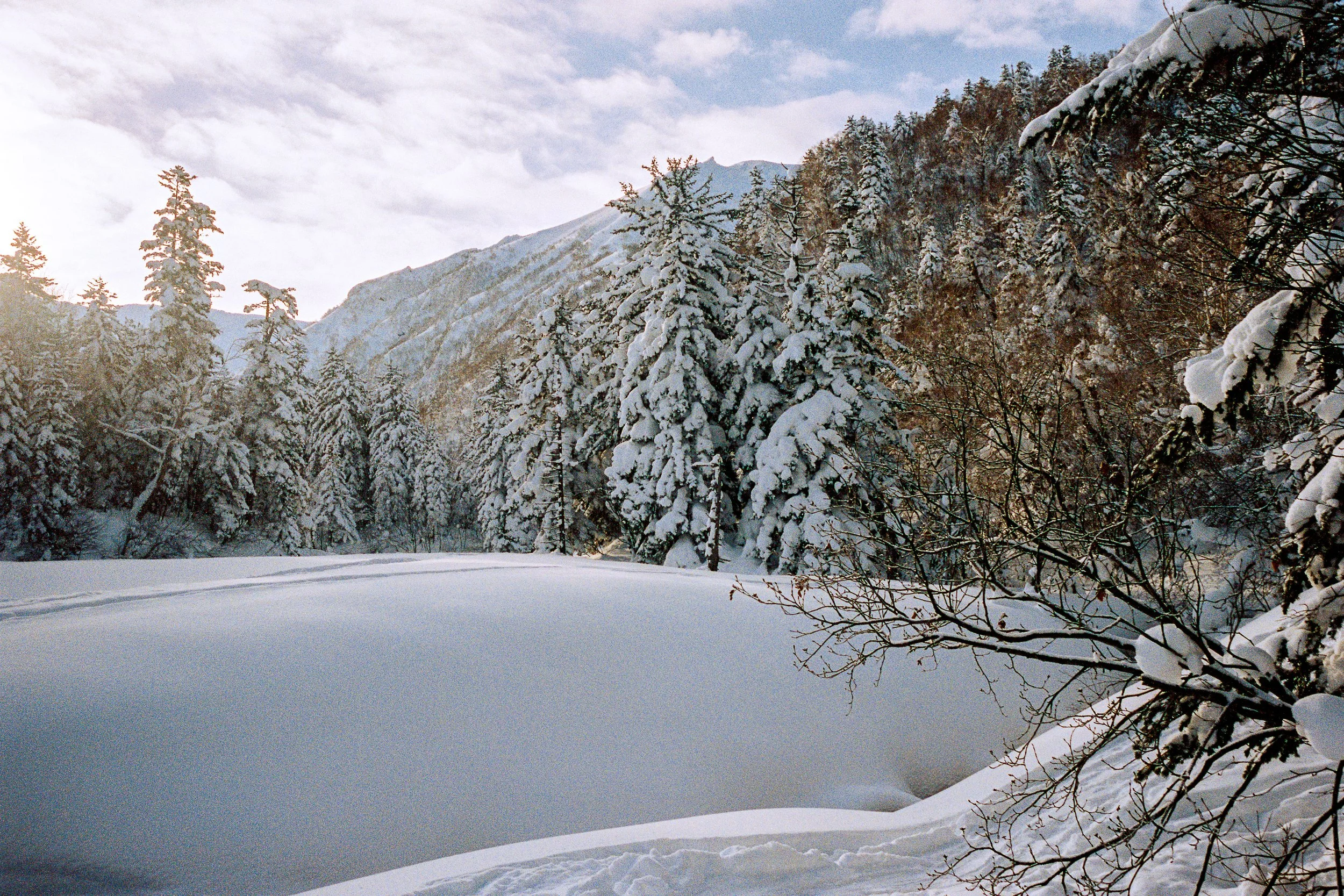 R1-03777-0028-2_fullres.jpg