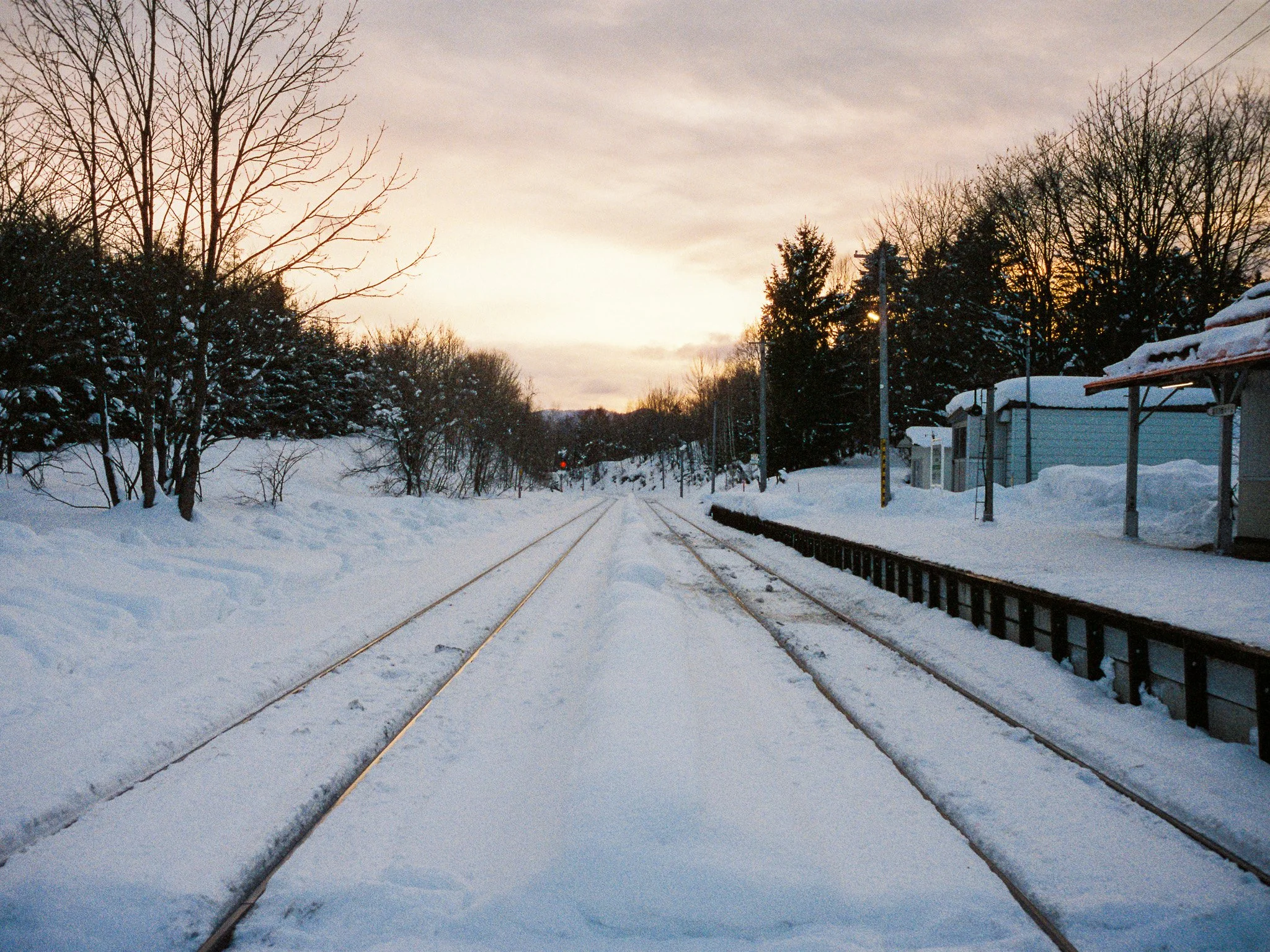 
Leica M6 | Cinestill 400D