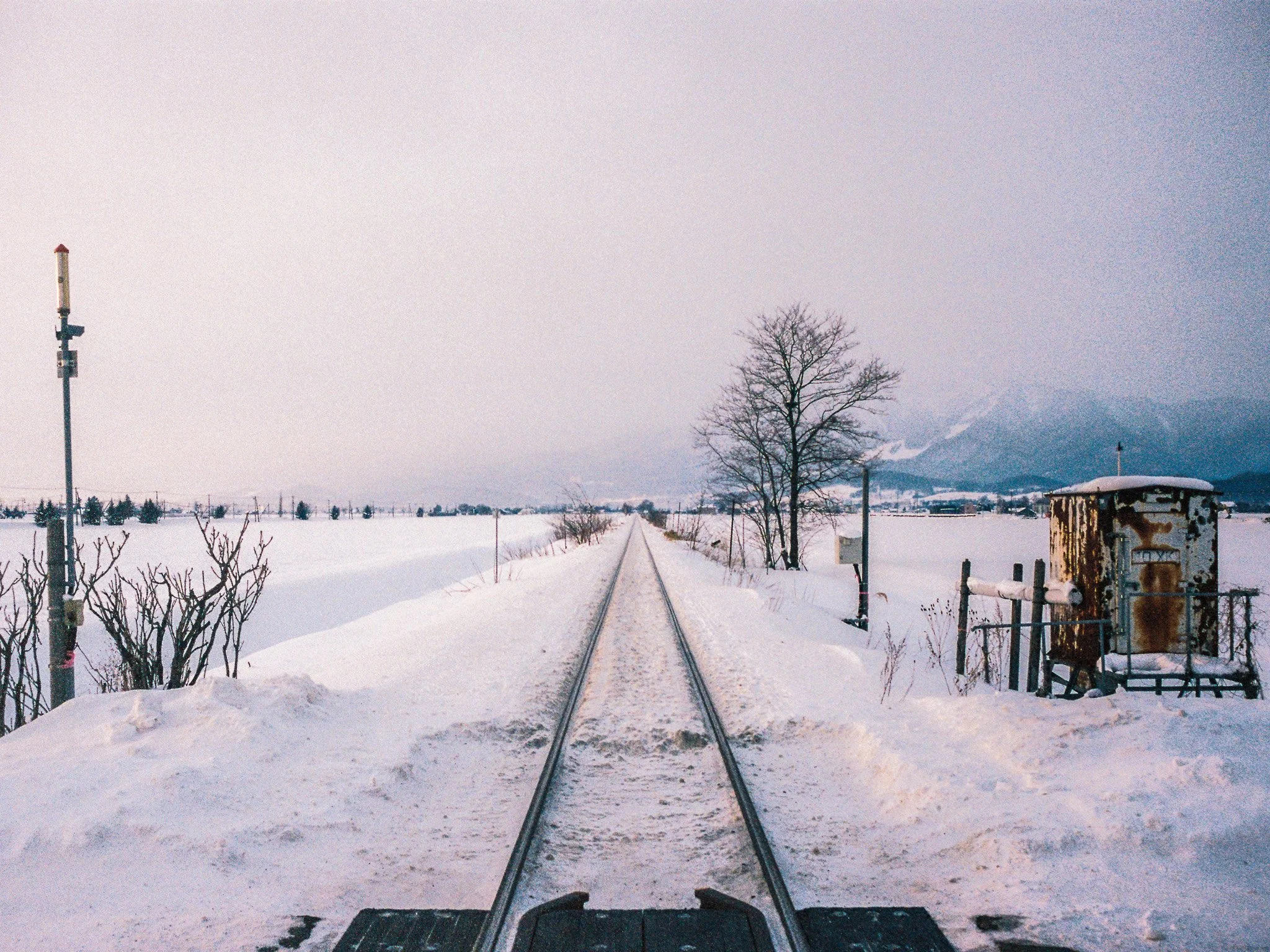 
Leica M6 | Portra 400