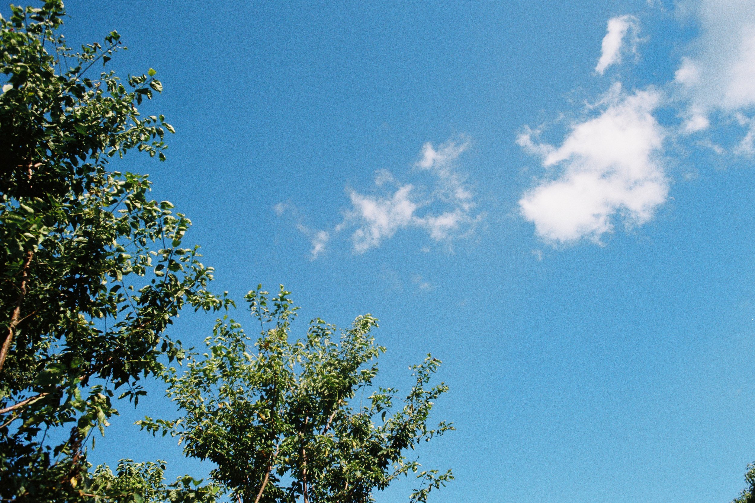 000057_fullres-2.jpg