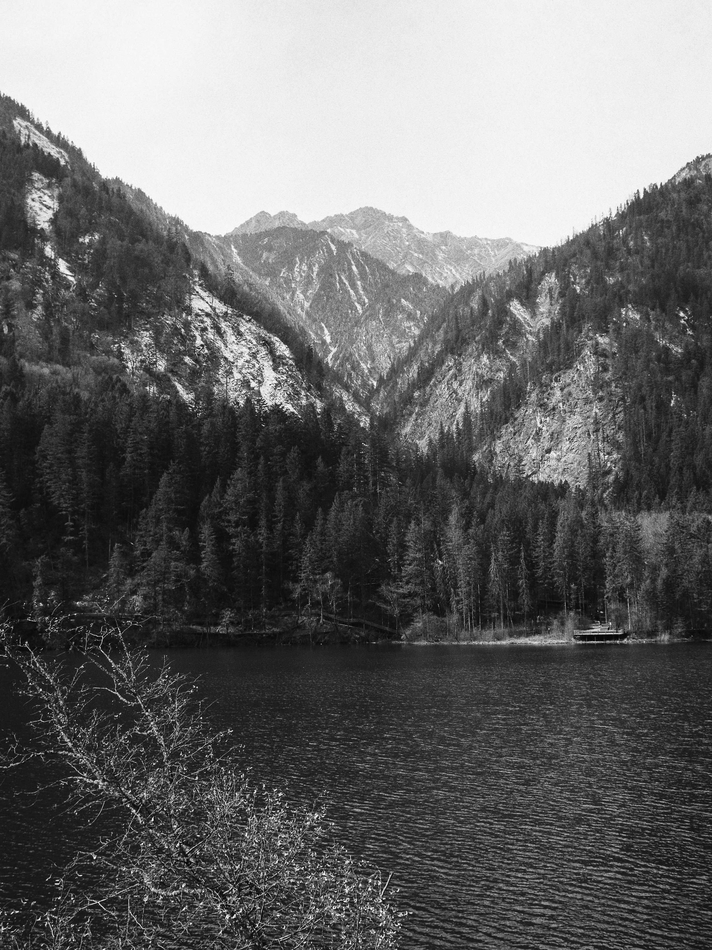 R1-04336-0010_fullres.jpg