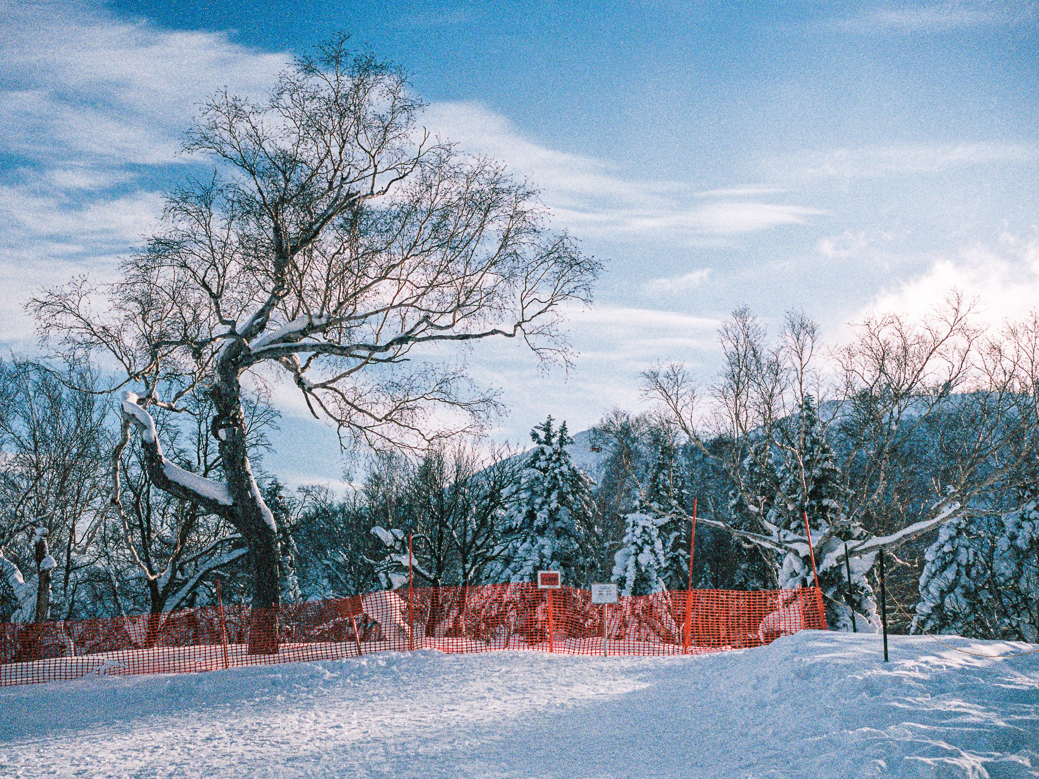 
Leica M6 | Portra 400
