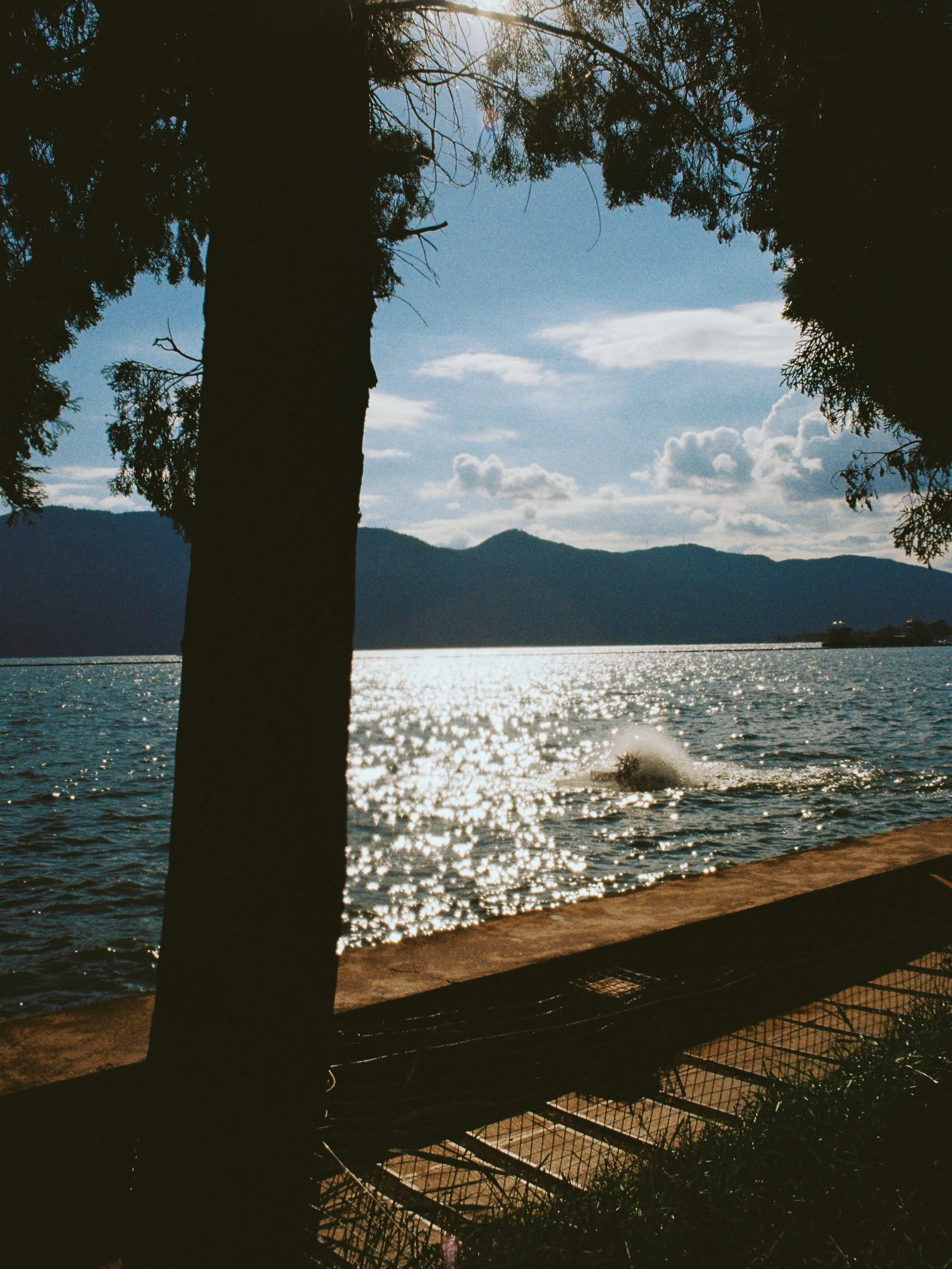 000041_fullres.jpg