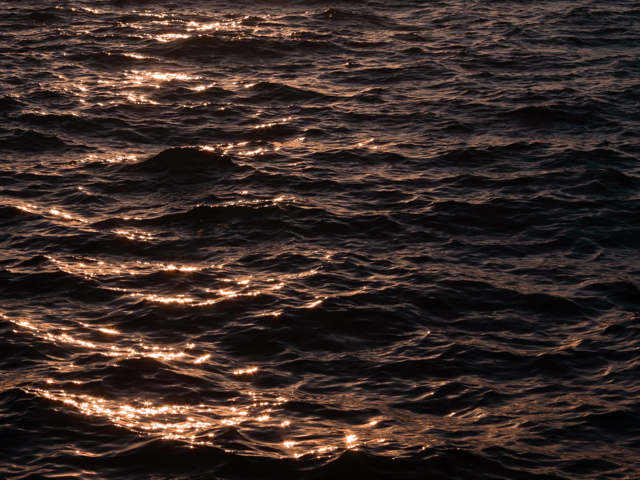 _MG_0926_fullres.jpg
