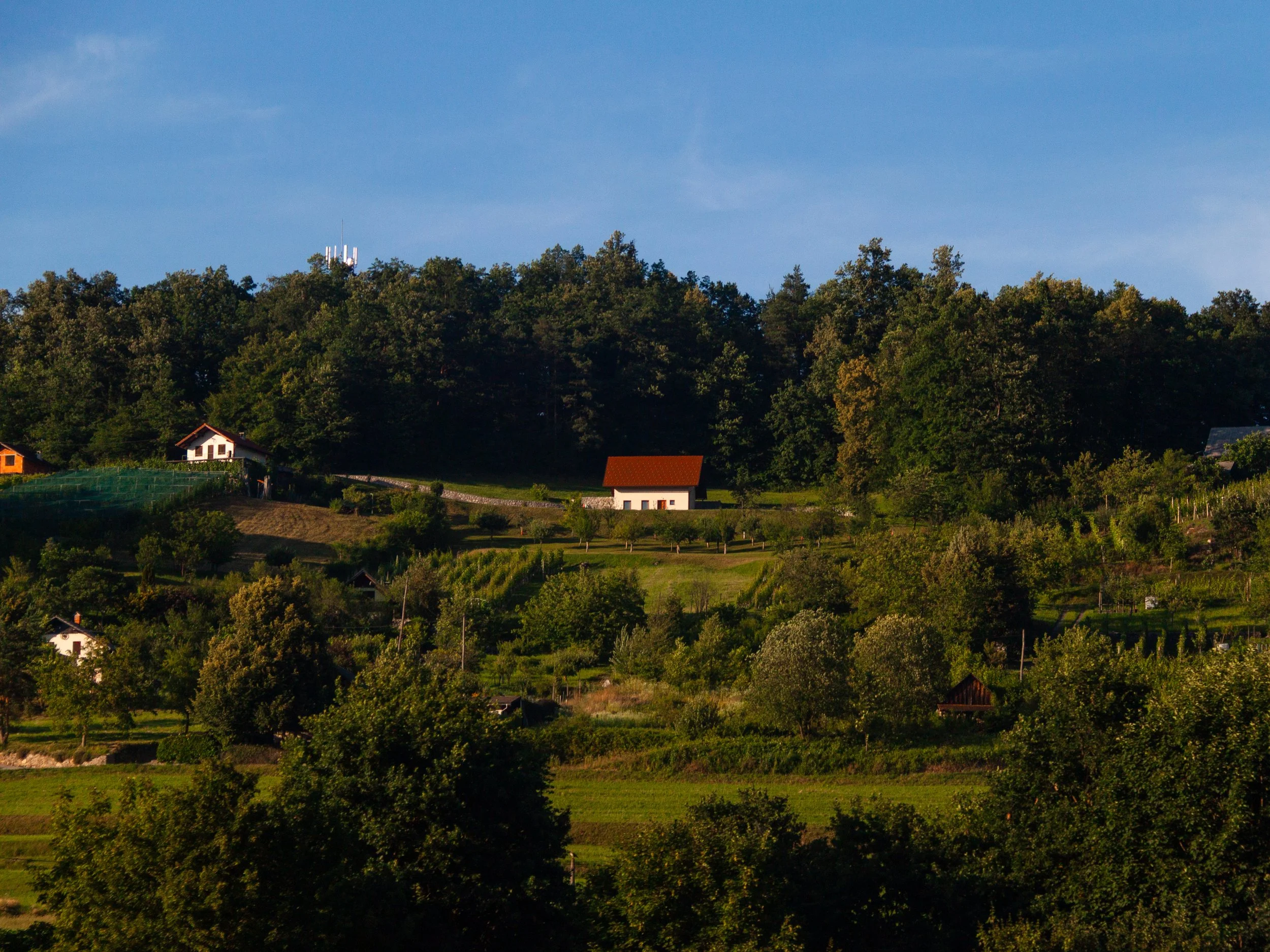 _MG_0171_fullres.jpg