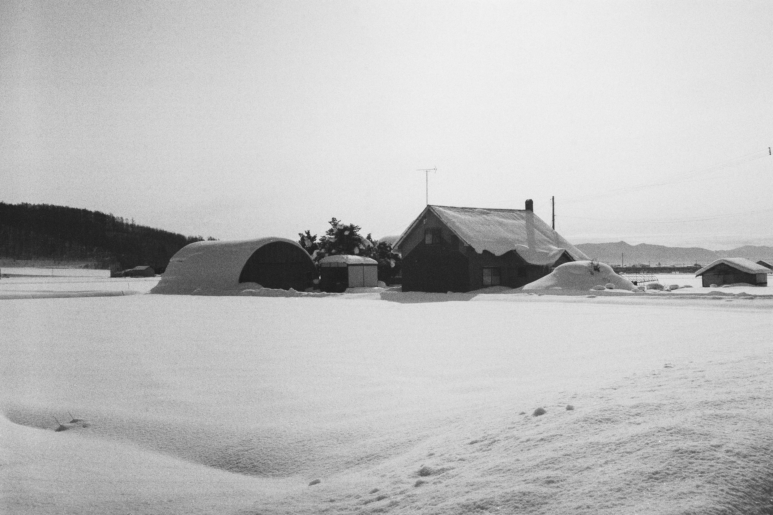 R1-03773-0028_fullres.jpg