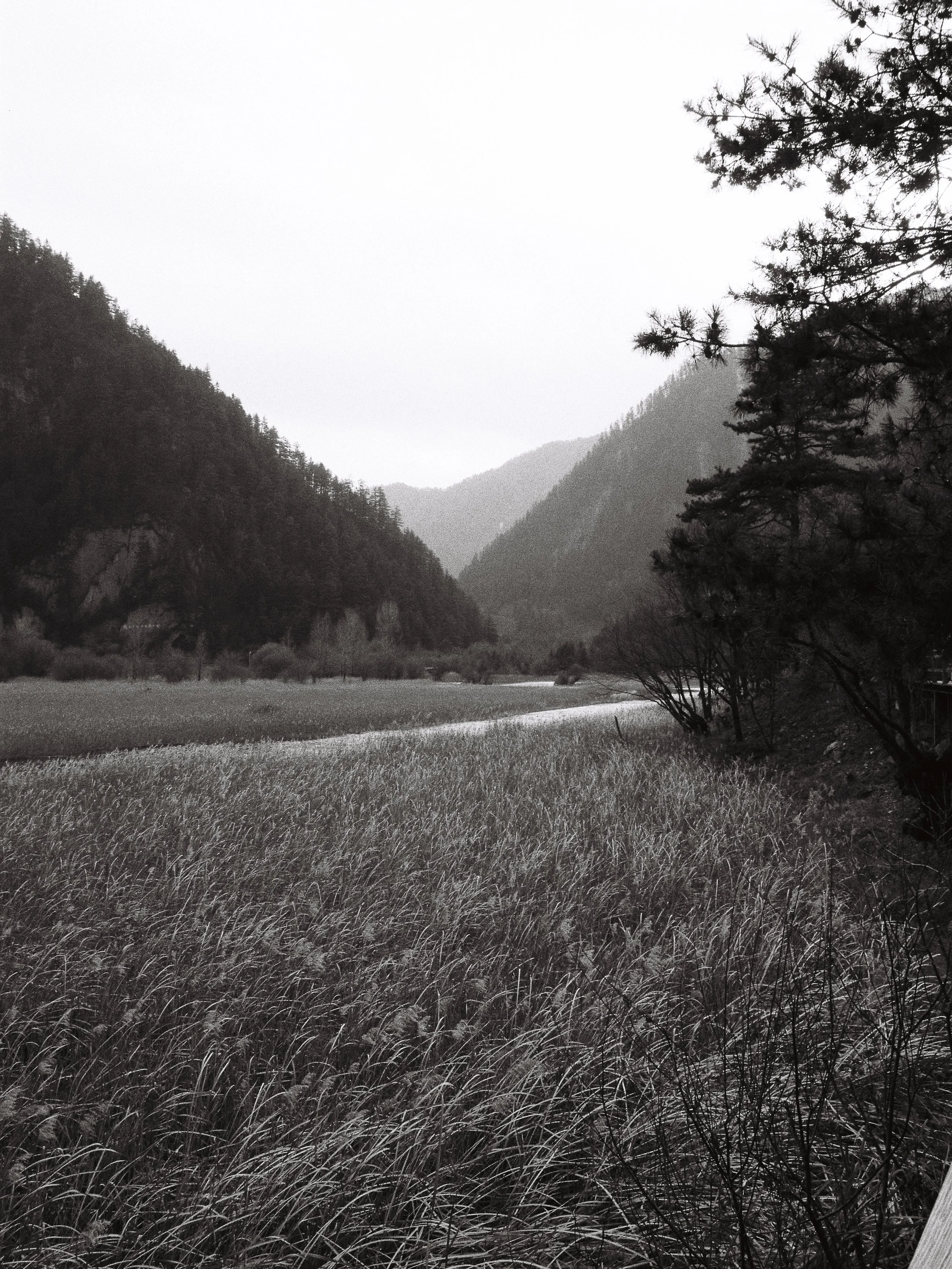 R1-04337-0034_fullres.jpg