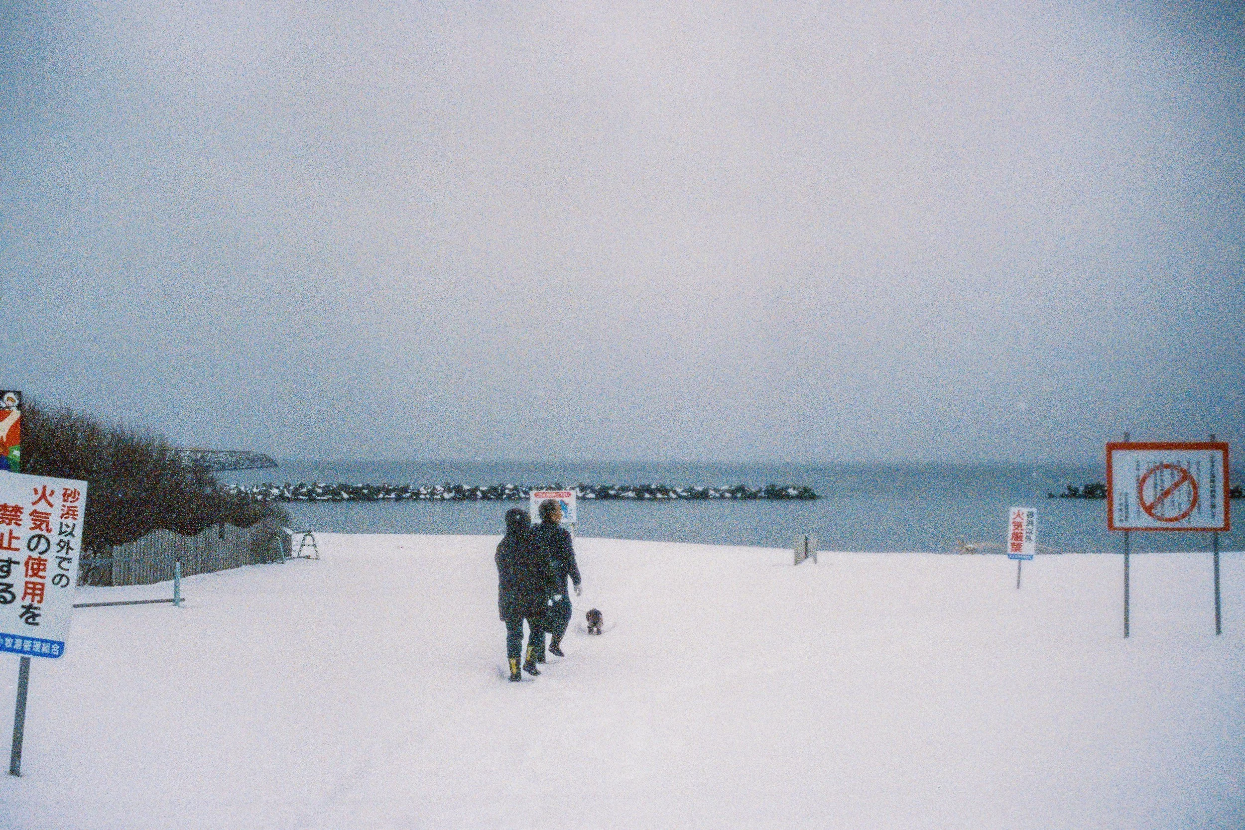 R1-03776-0037_fullres.jpg