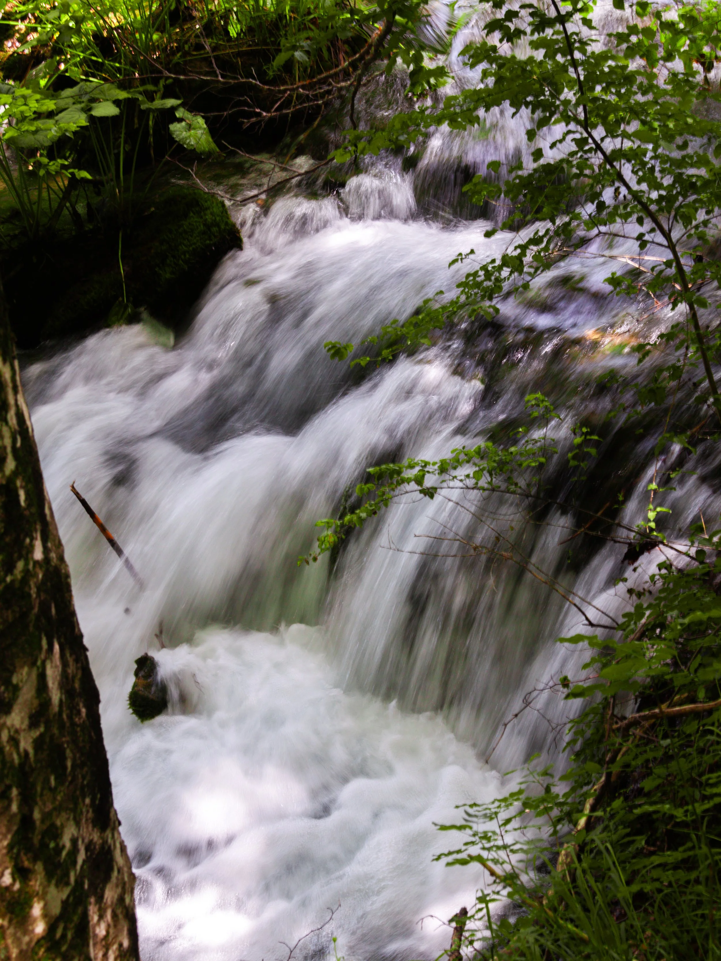 _MG_0566_fullres.jpg