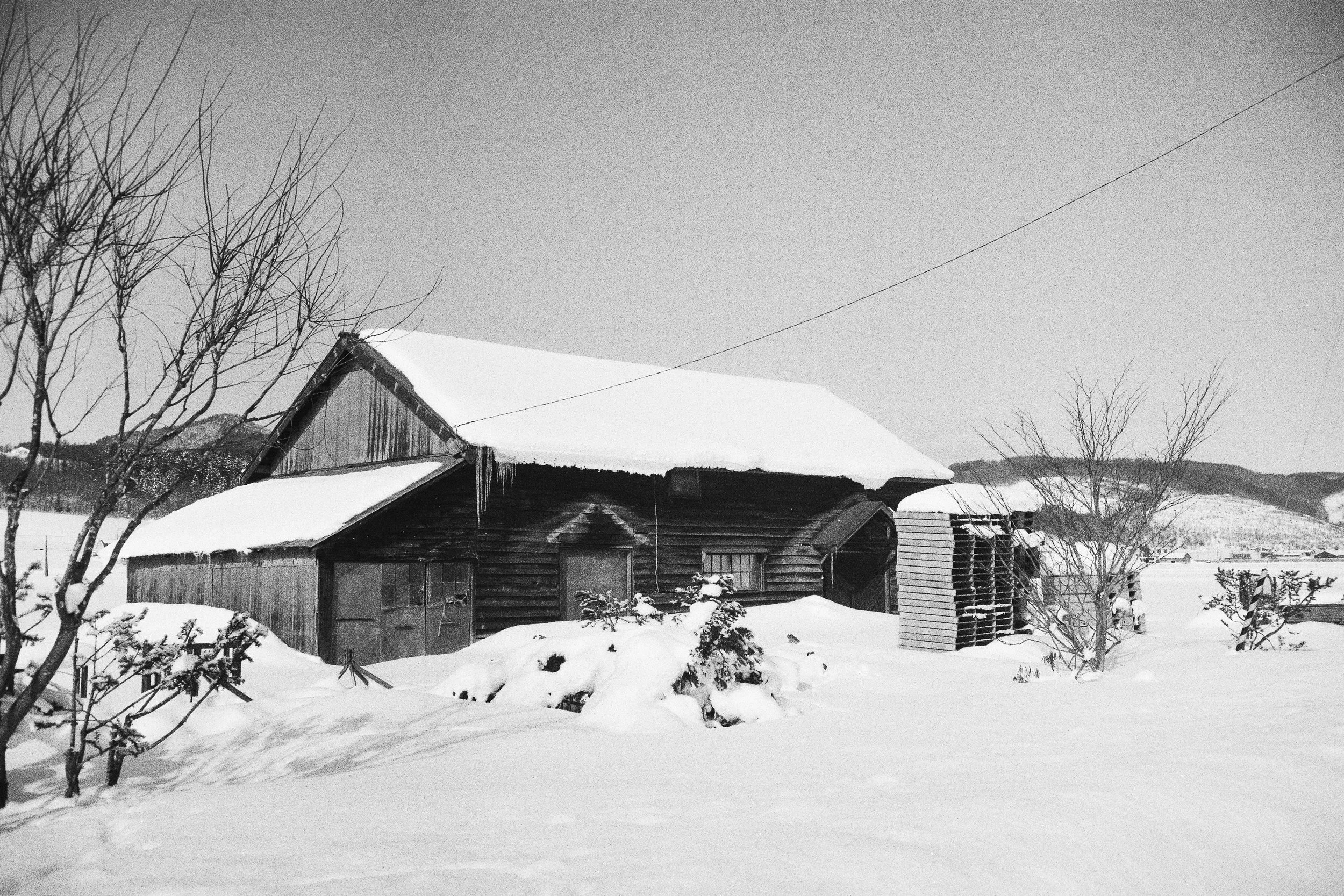 R1-03773-0036_fullres.jpg