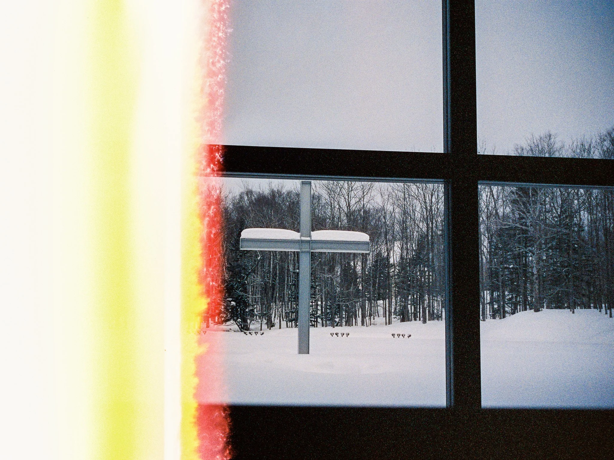 
Leica M6 | Cinestill 800T