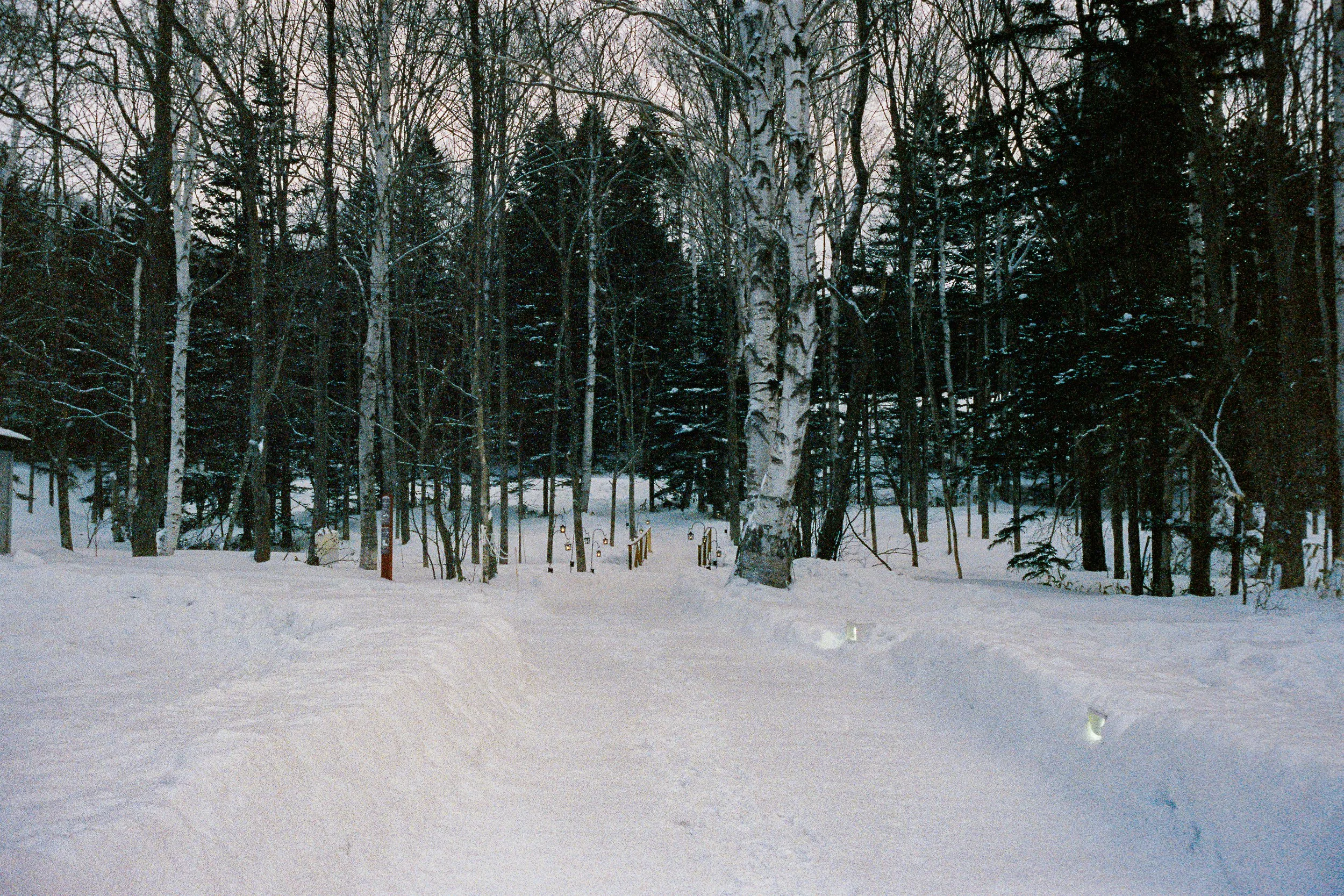 R1-03776-0007_fullres.jpg