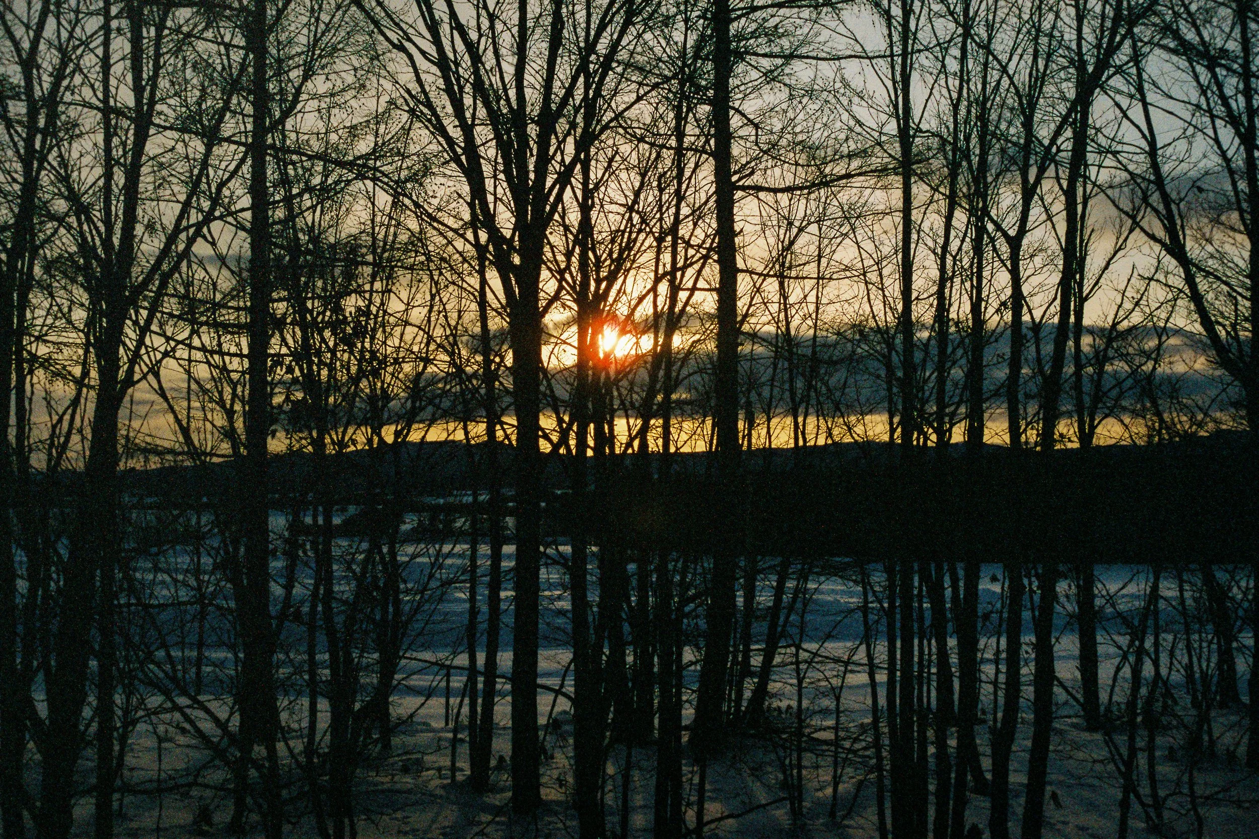 R1-03775-0020_fullres.jpg