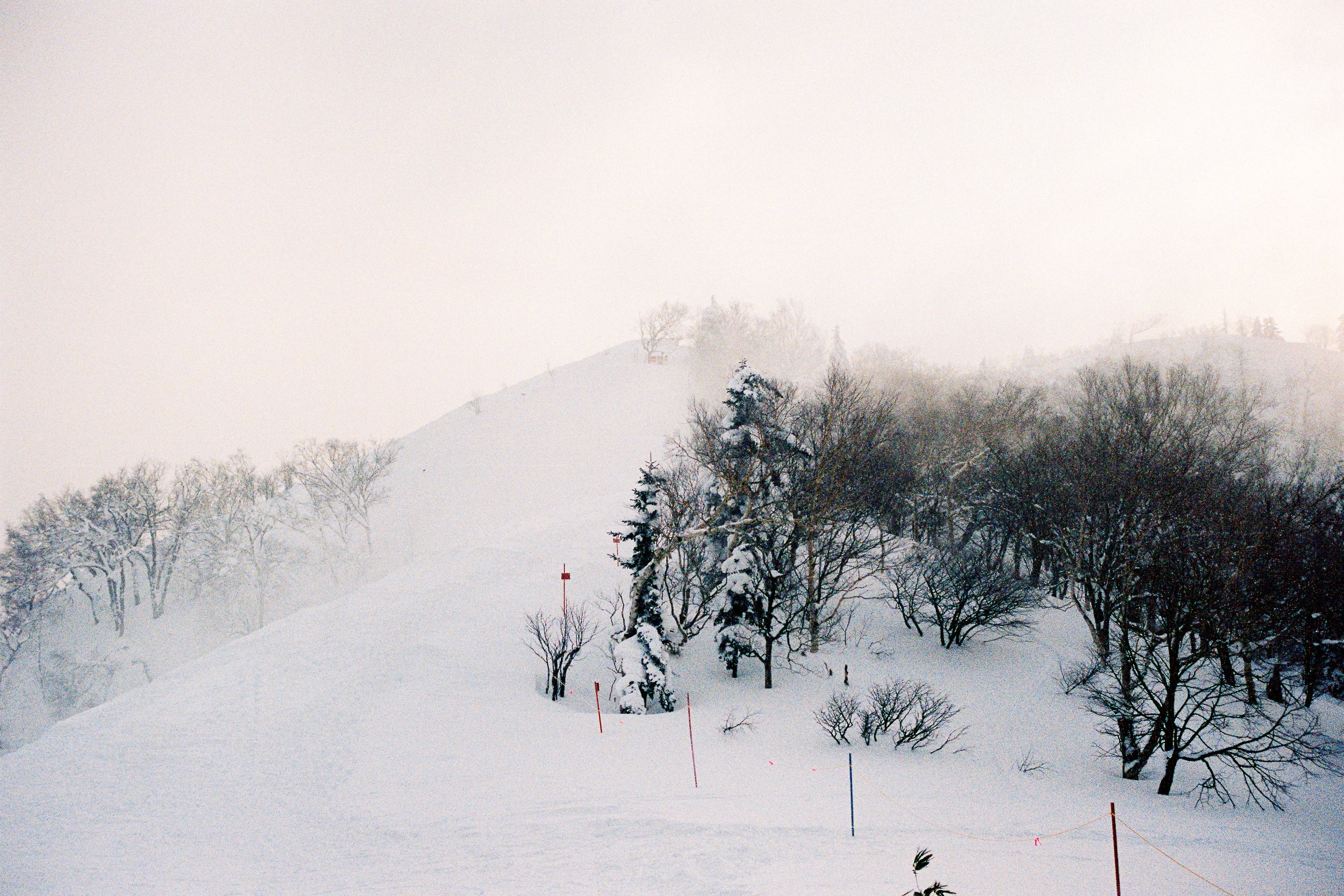 R1-03777-0024-2_fullres.jpg