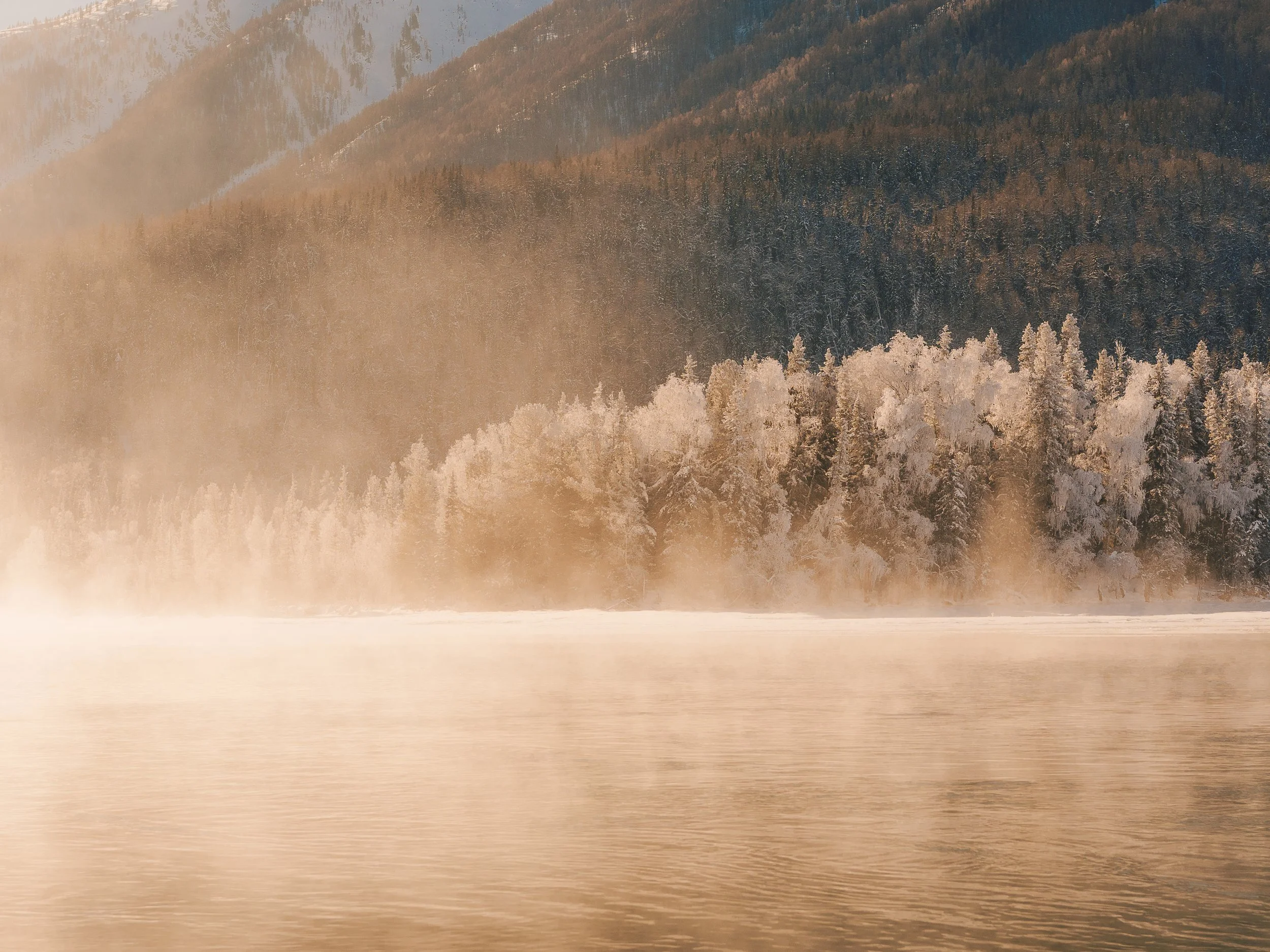 _A7C5359_fullres.jpg