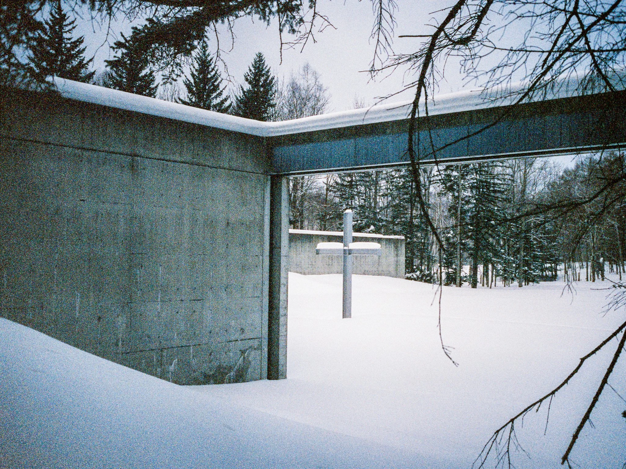 
Leica M6 | Cinestill 800T