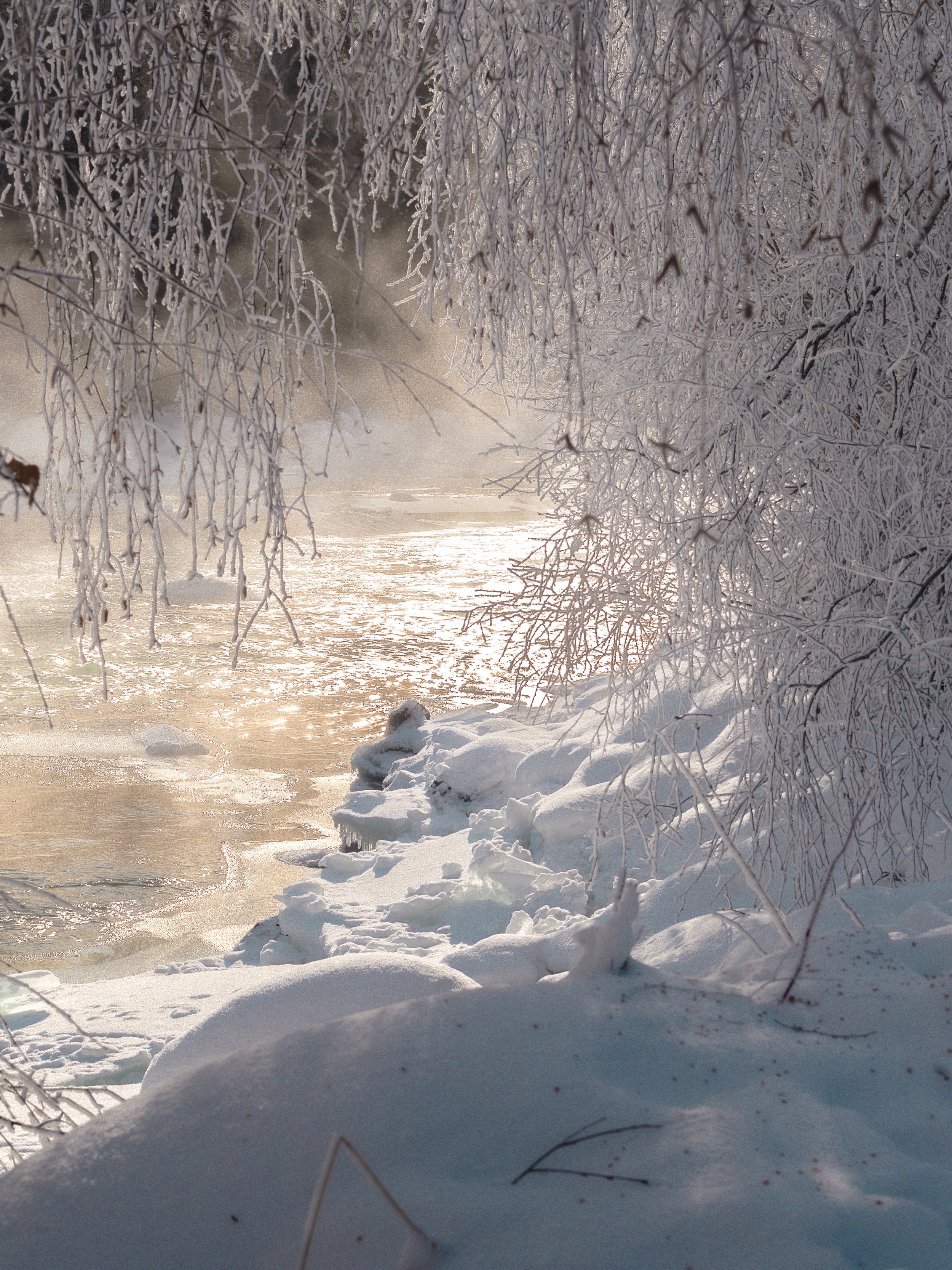 _A7C5065_fullres.jpg