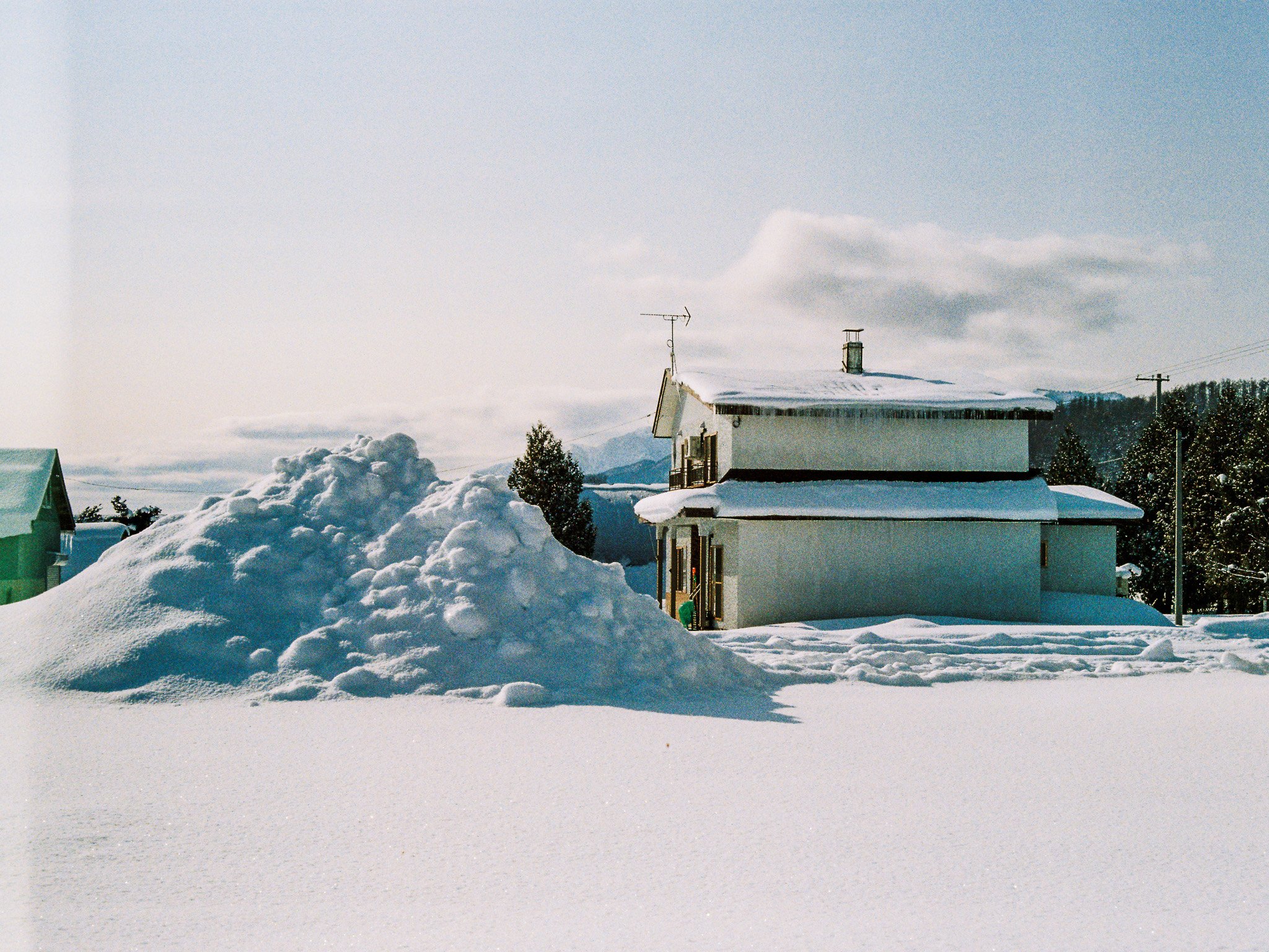 Canon AE-1 | Kodacolor 200