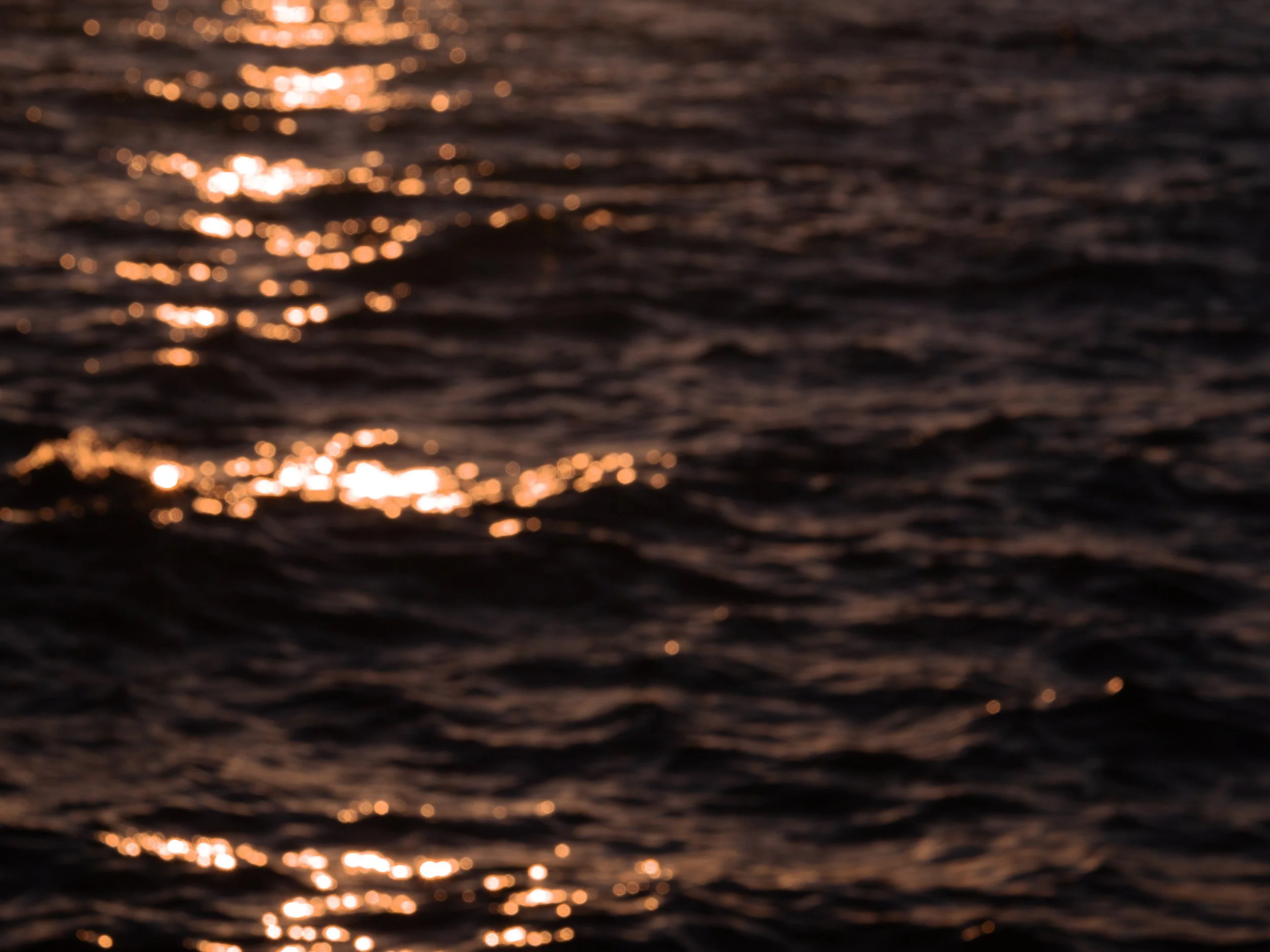 _MG_0933_fullres.jpg