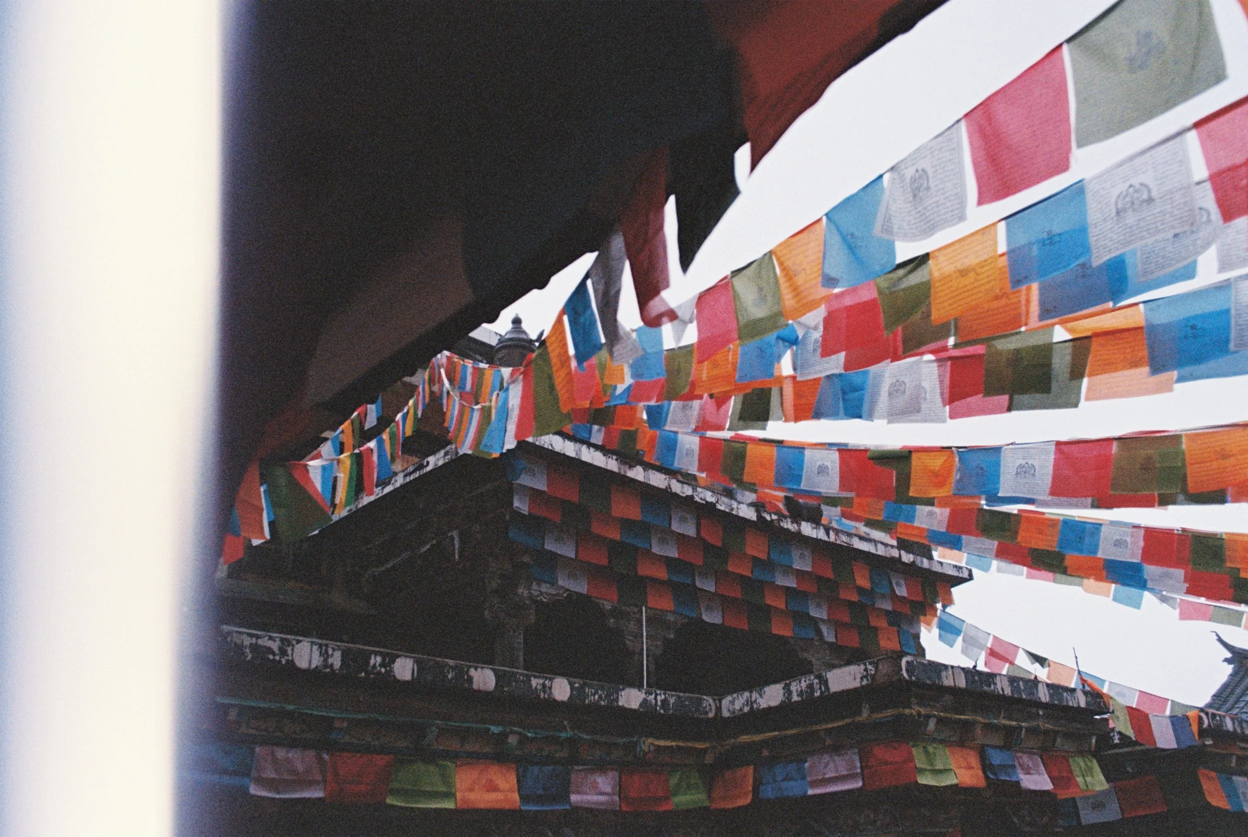 Canon AE-1 | Fuji 400