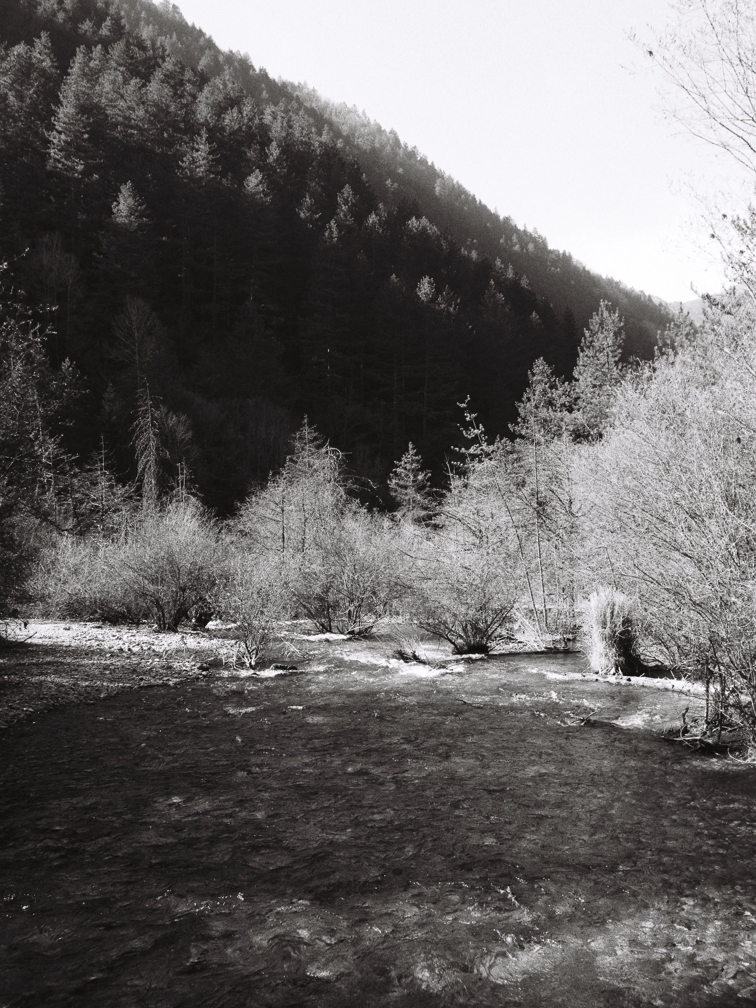 R1-04337-0004_fullres.jpg