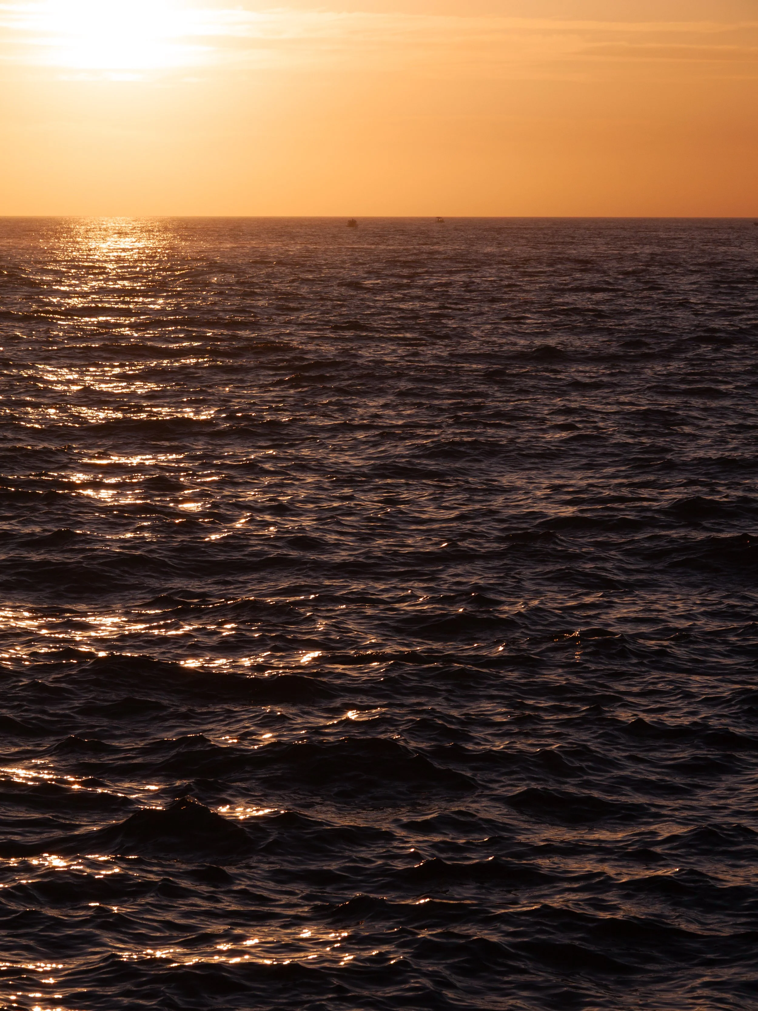 _MG_0937_fullres.jpg