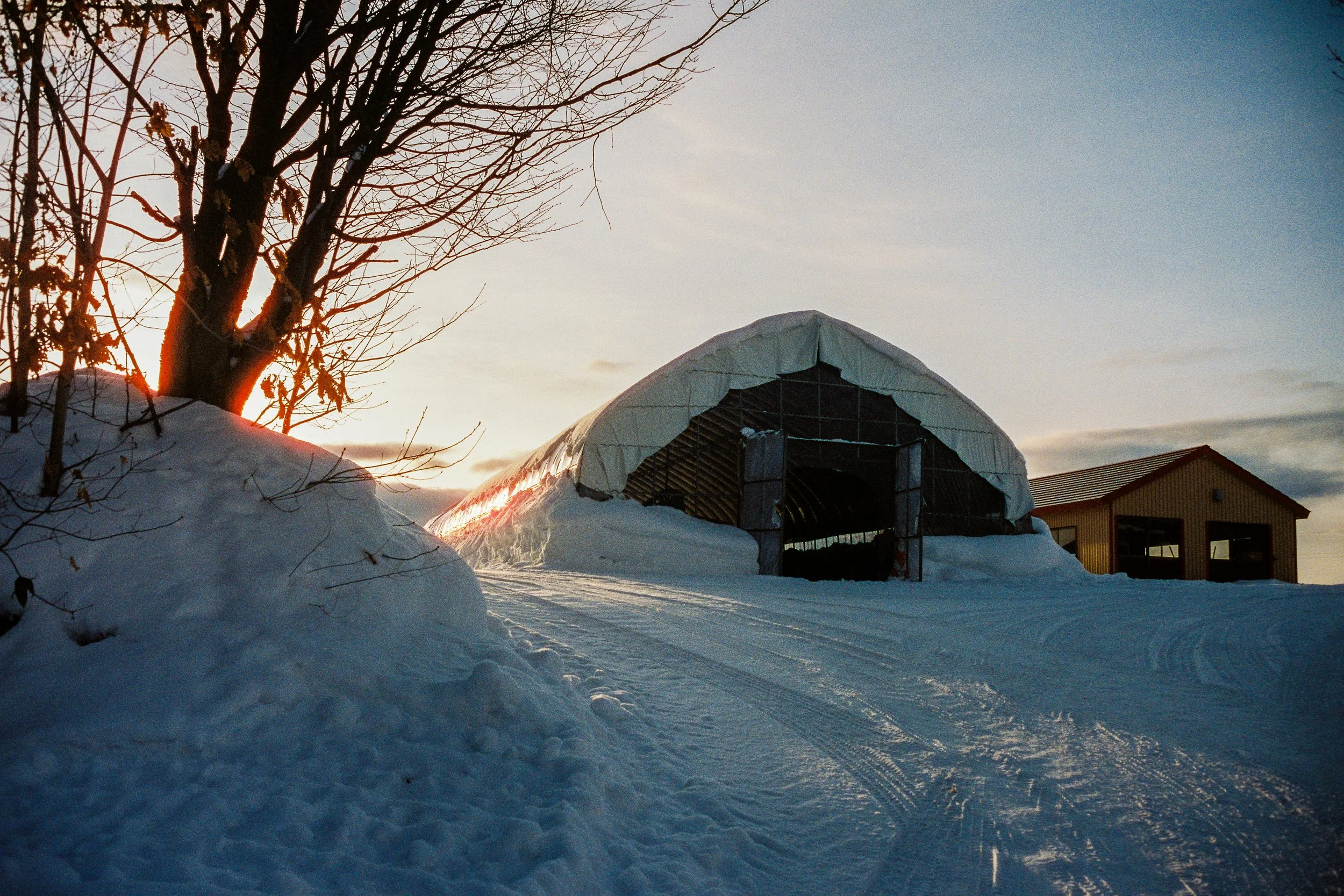 R1-03775-0005_fullres.jpg