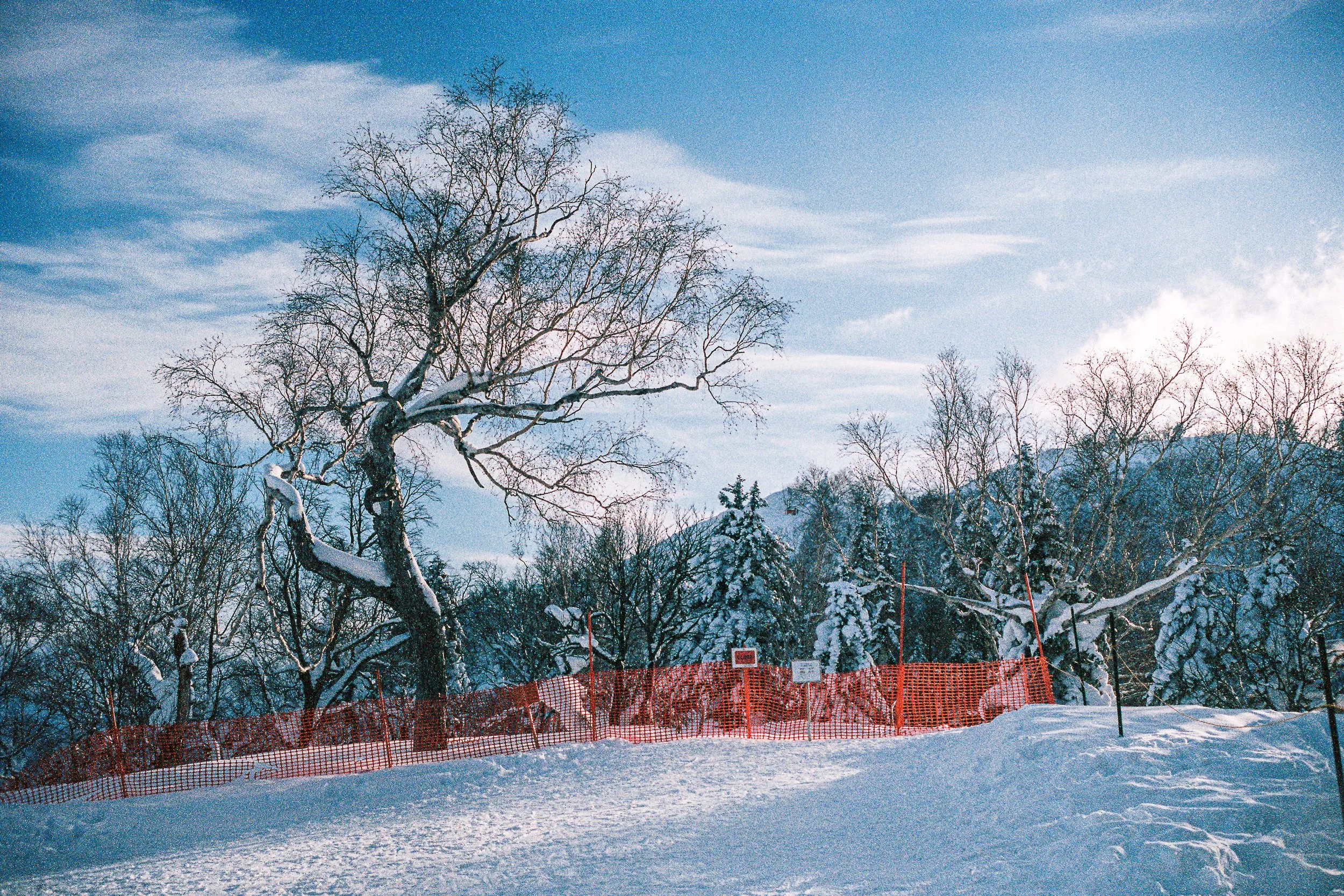 R1-03778-031A_fullres.jpg