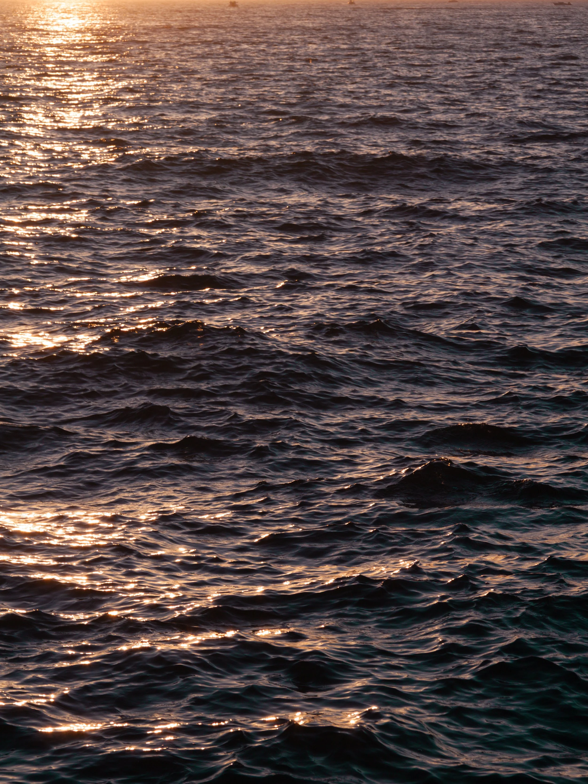 _MG_0943_fullres.jpg