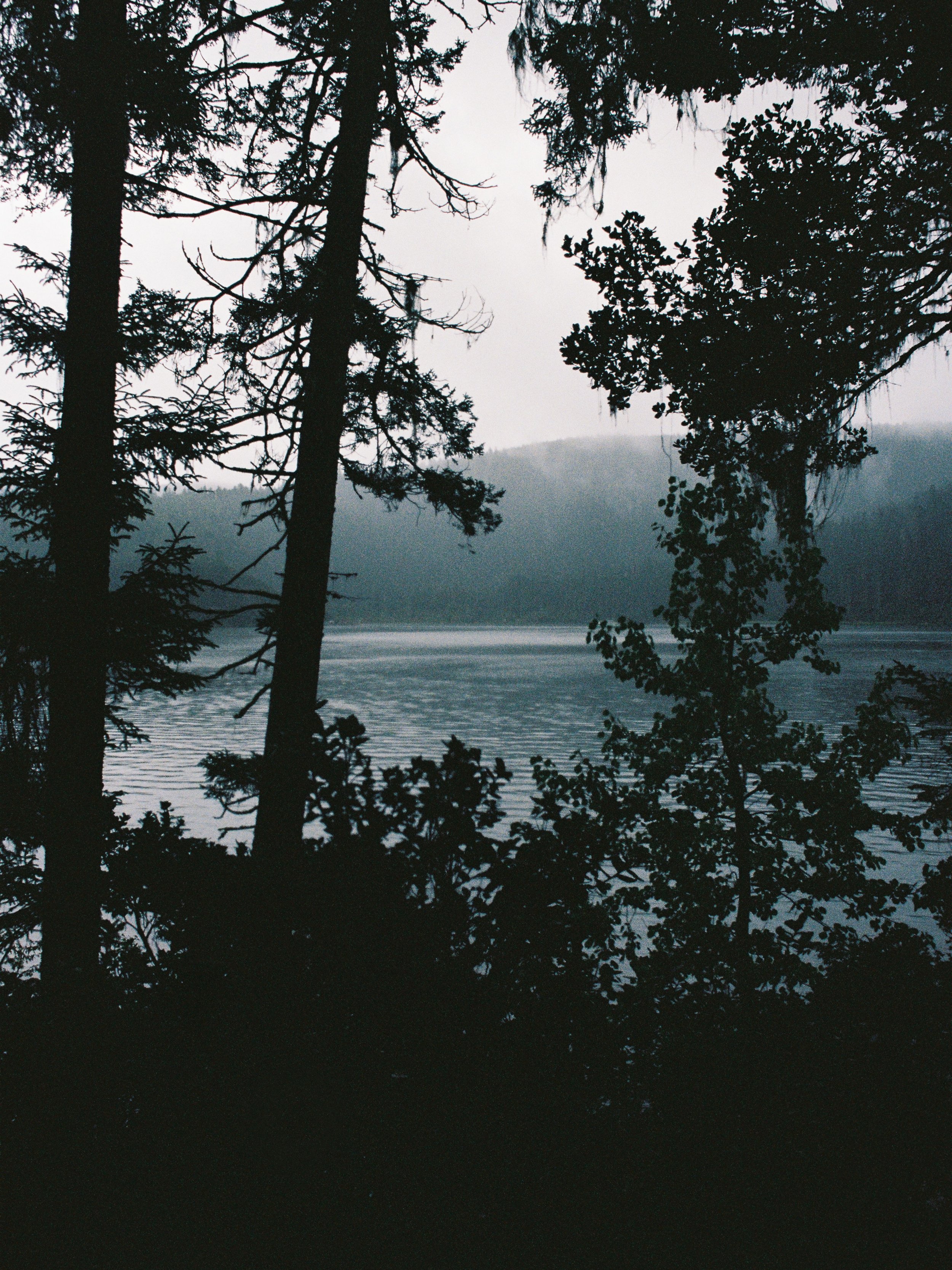 000066_fullres.jpg