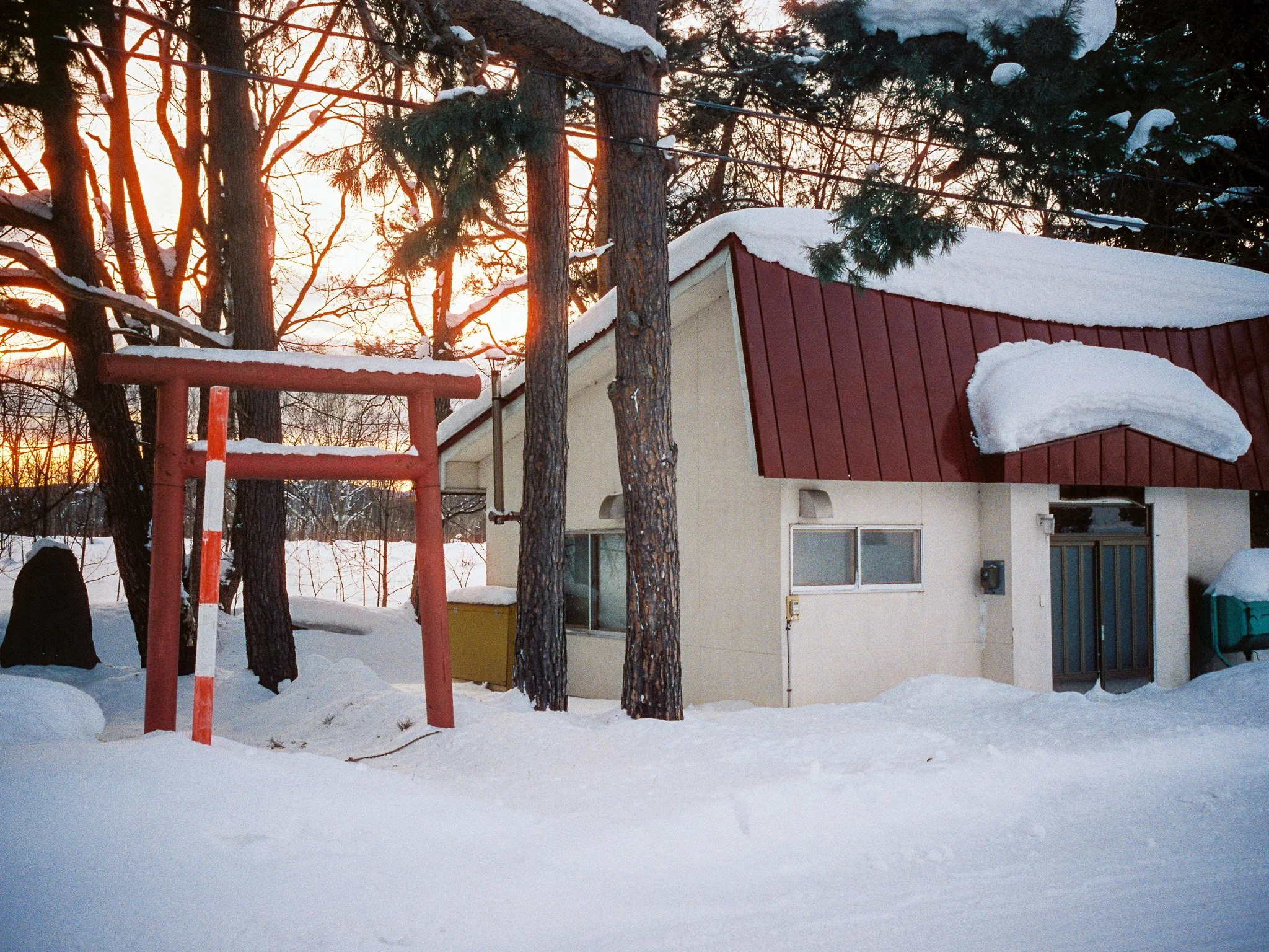 
Leica M6 | Cinestill 400D