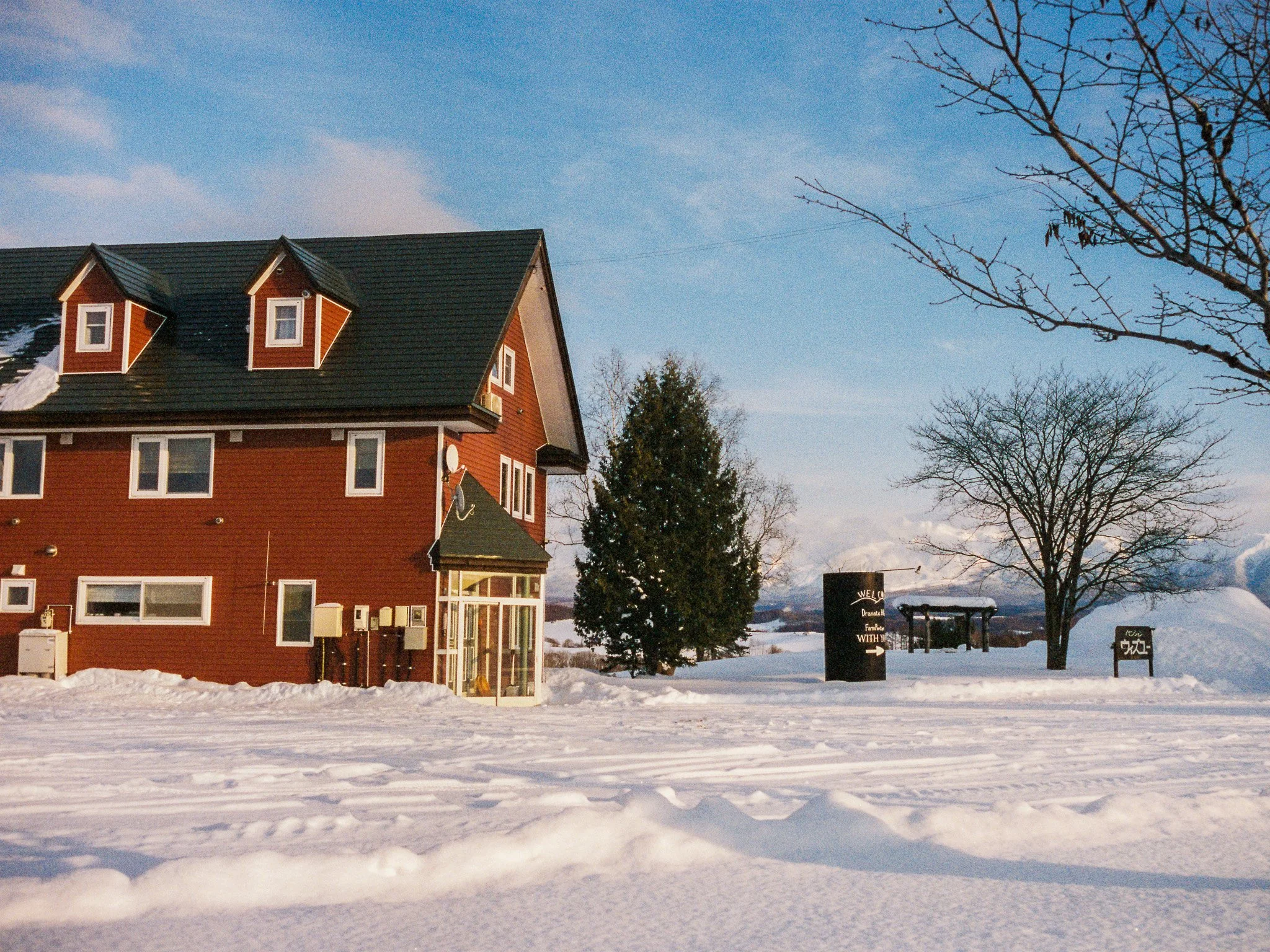 
Leica M6 | Cinestill 400D