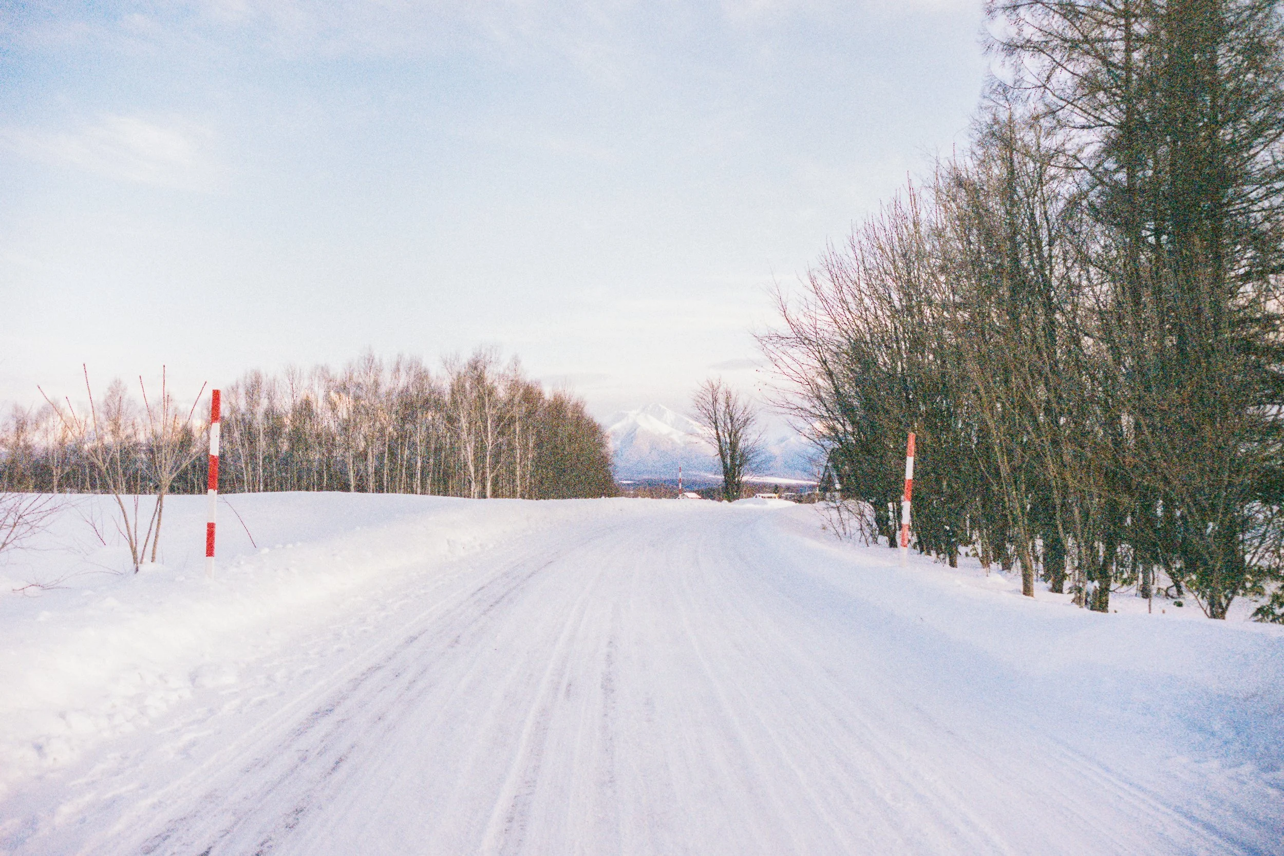 R1-03775-0016_fullres.jpg