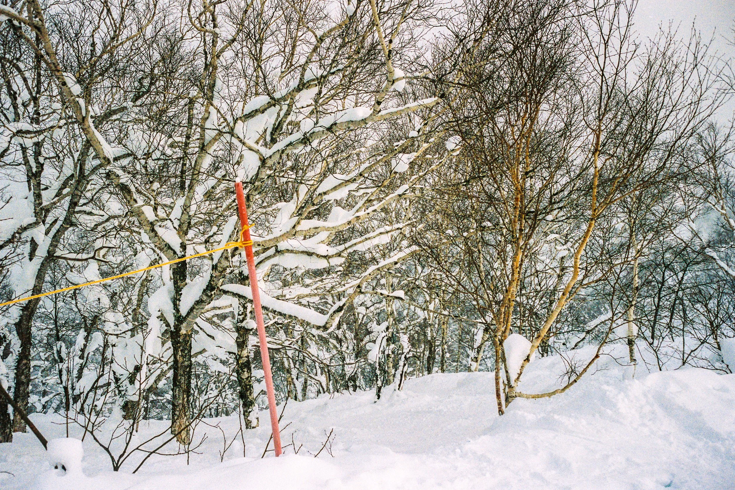 R1-03777-0025_fullres.jpg