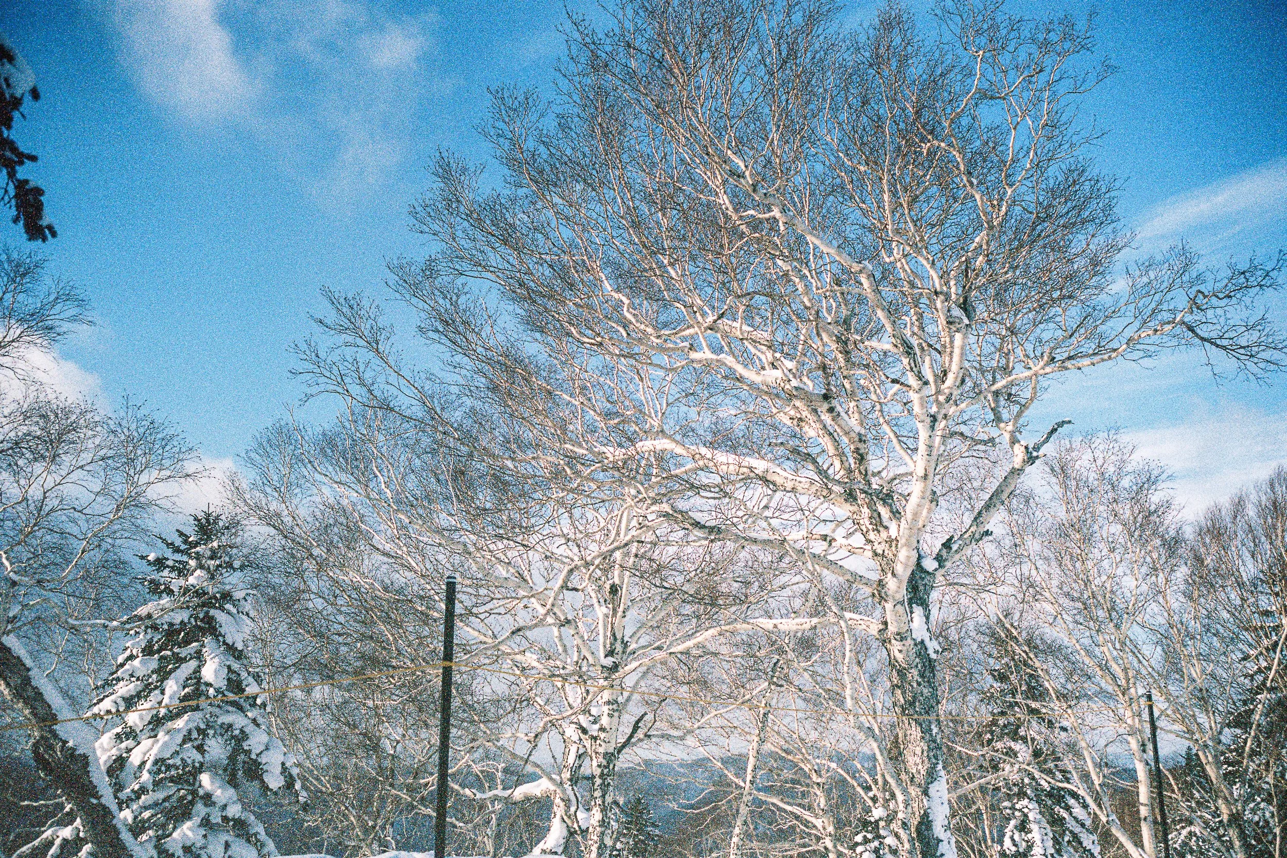 R1-03778-030A_fullres.jpg