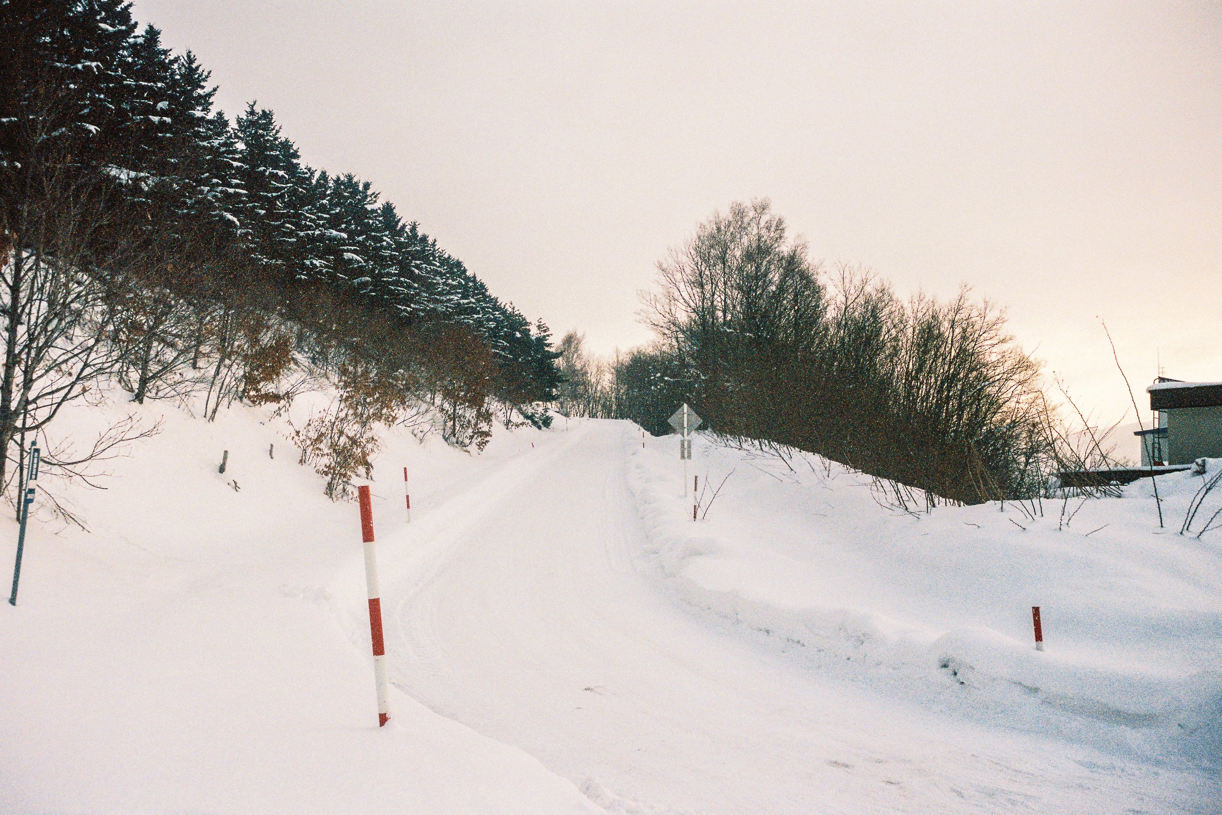 R1-03777-0023_fullres.jpg
