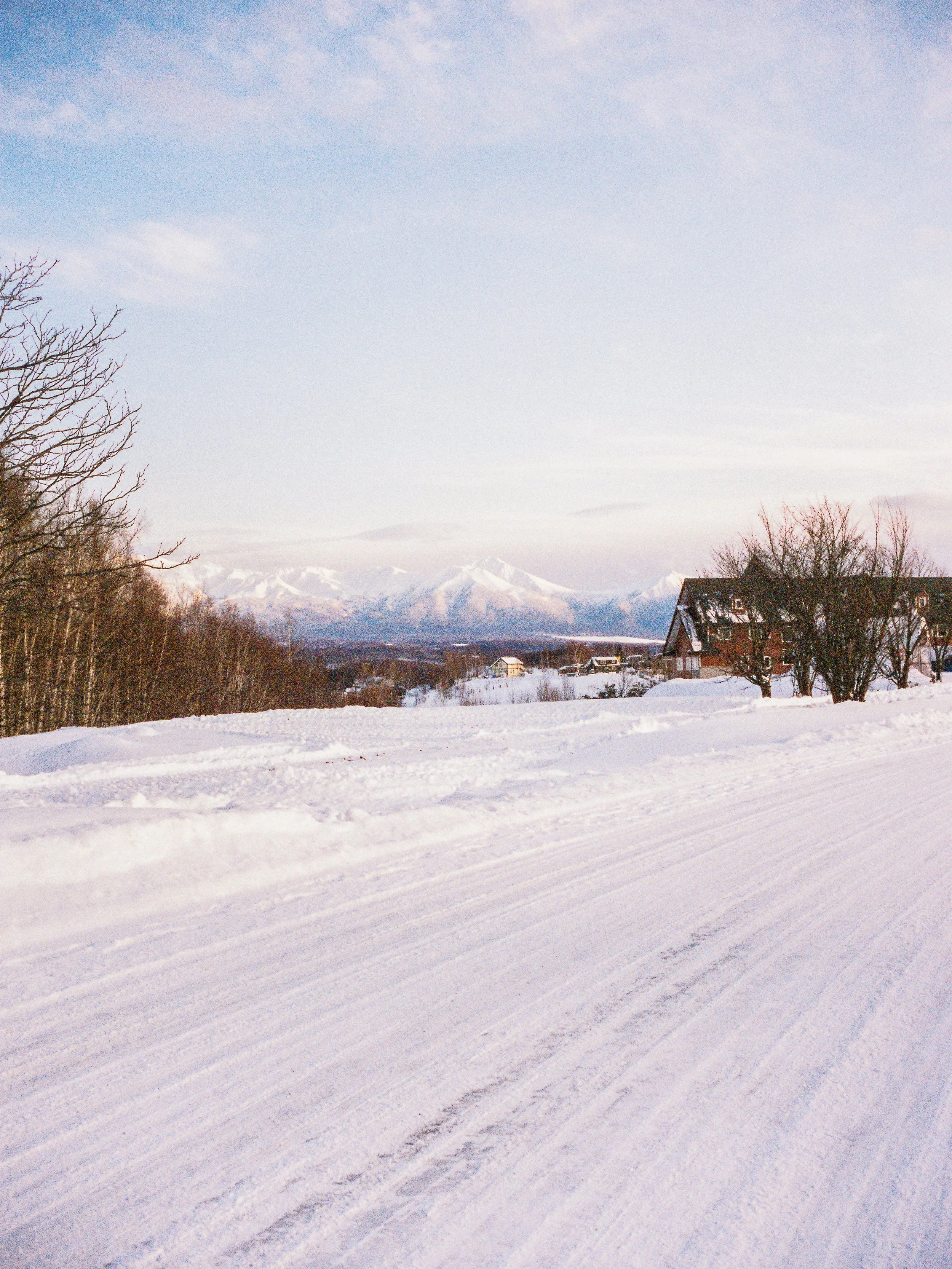R1-03775-0014_fullres.jpg