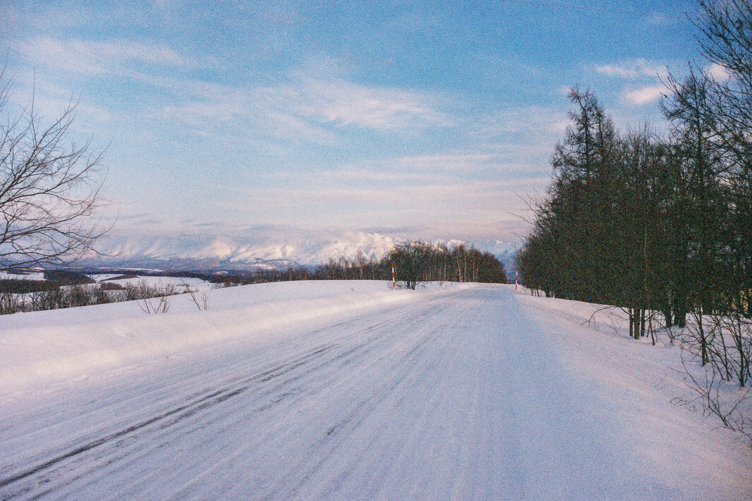 R1-03775-0022_fullres.jpg