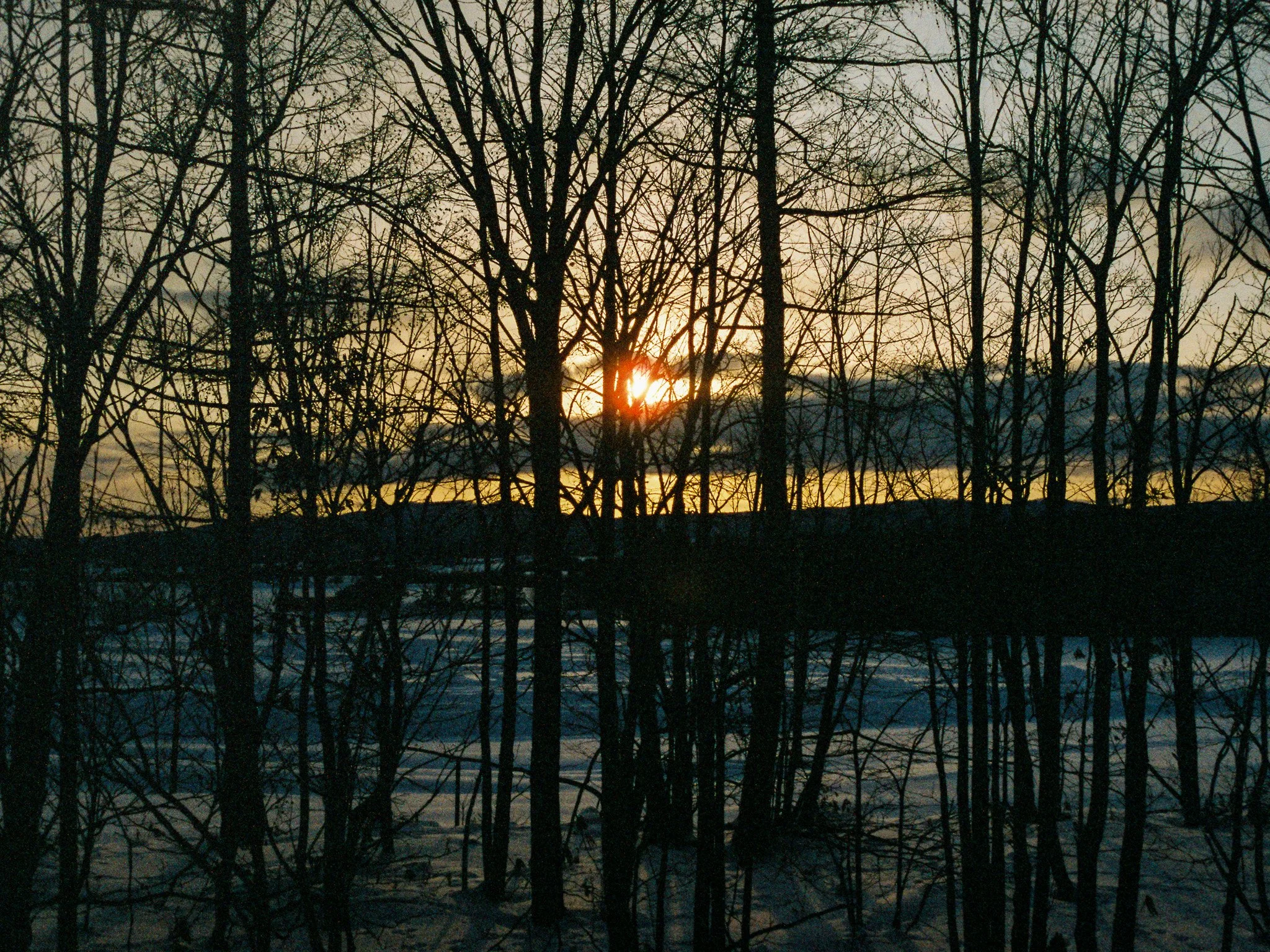 
Leica M6 | Cinestill 400D