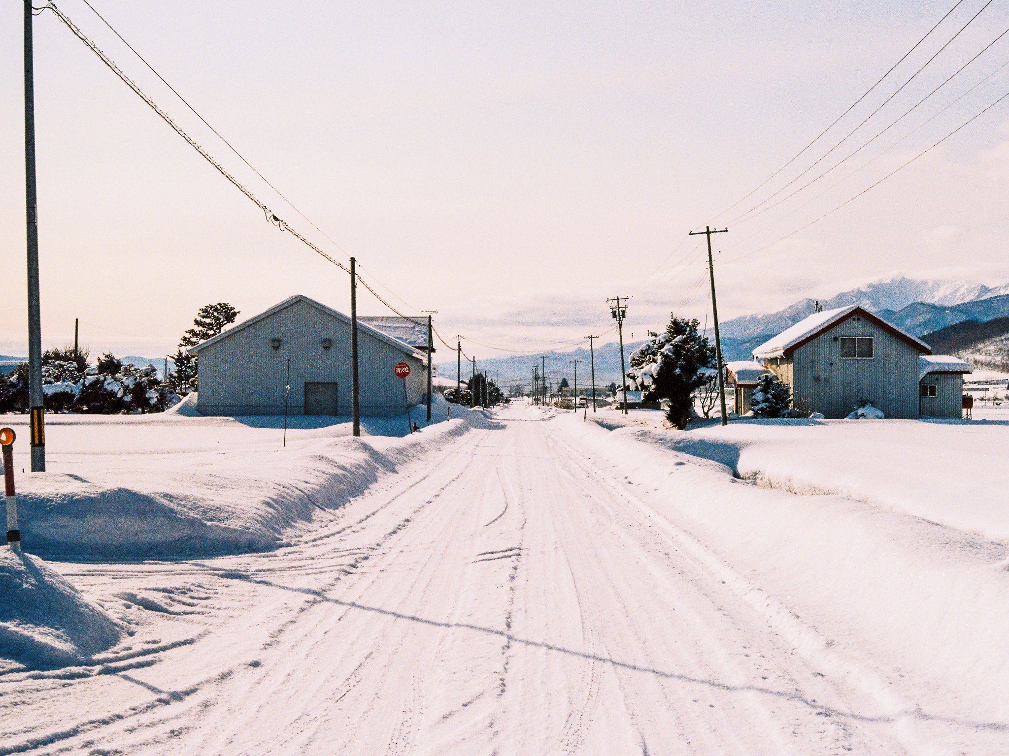 Canon AE-1 | Kodacolor 200