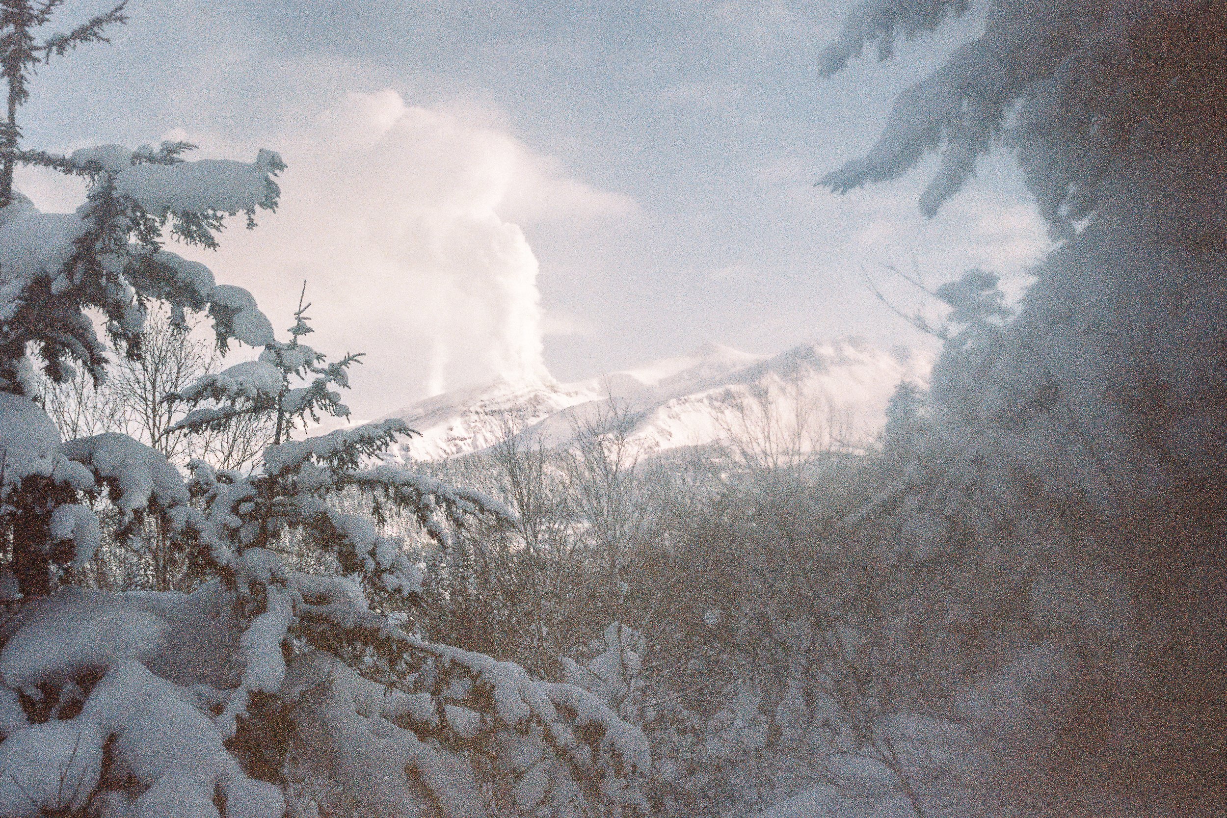R1-03777-0029_fullres.jpg