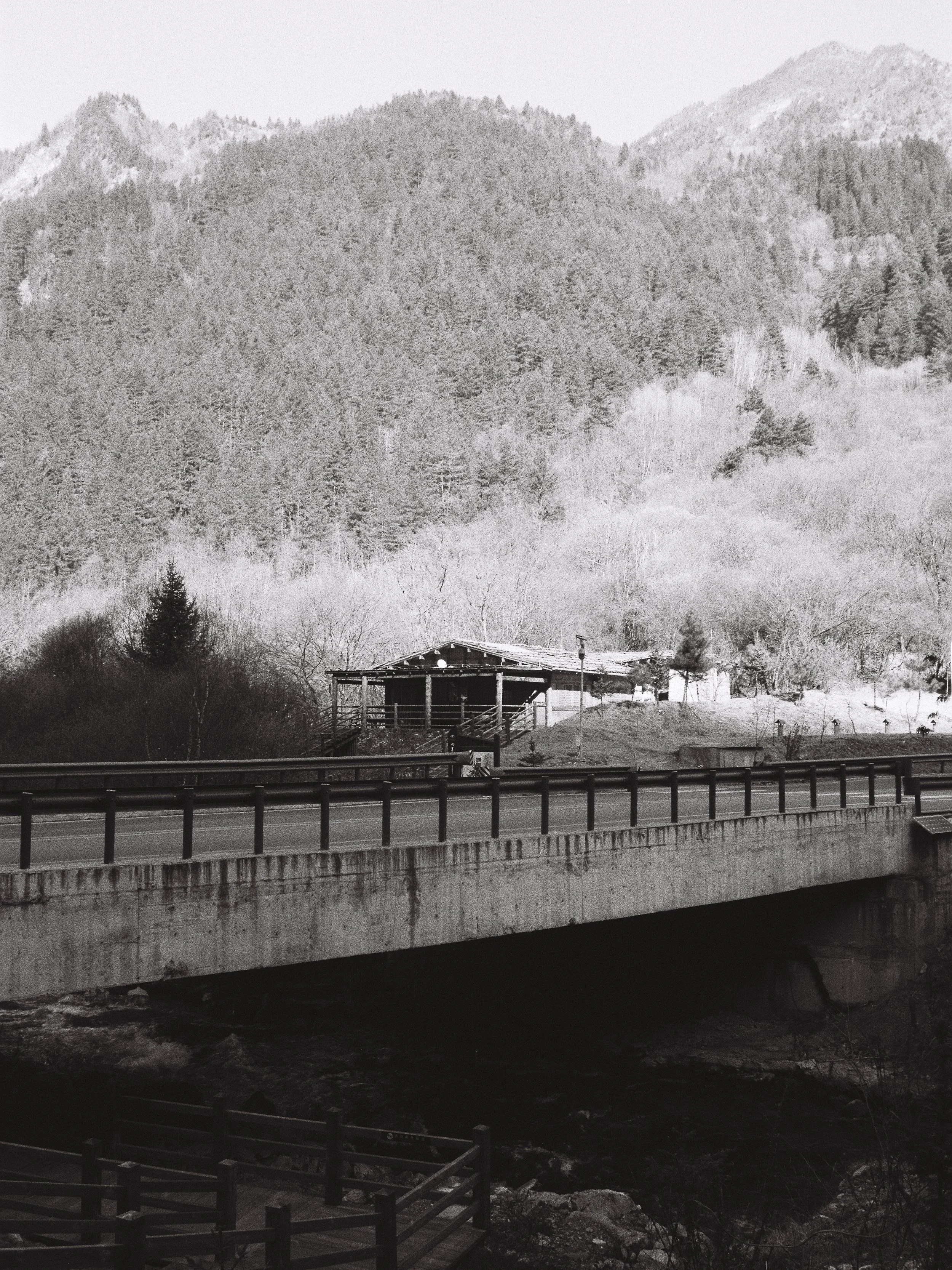 R1-04337-0006_fullres.jpg