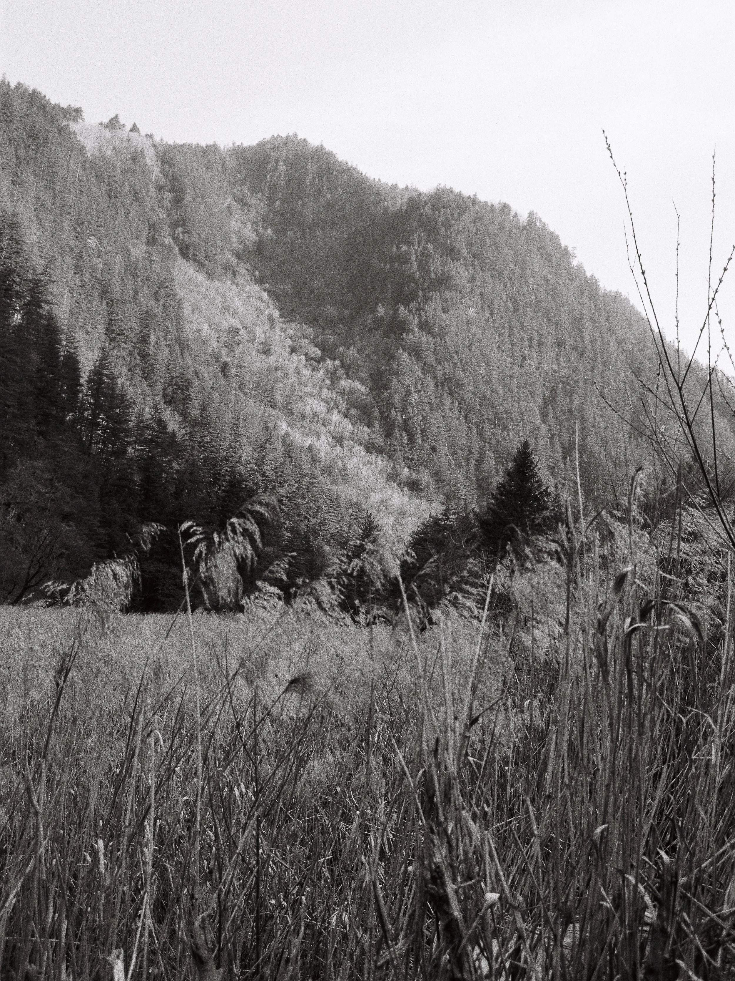 R1-04337-0028_fullres.jpg